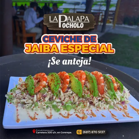 PALAPA POCHOLO COREREPE image 7