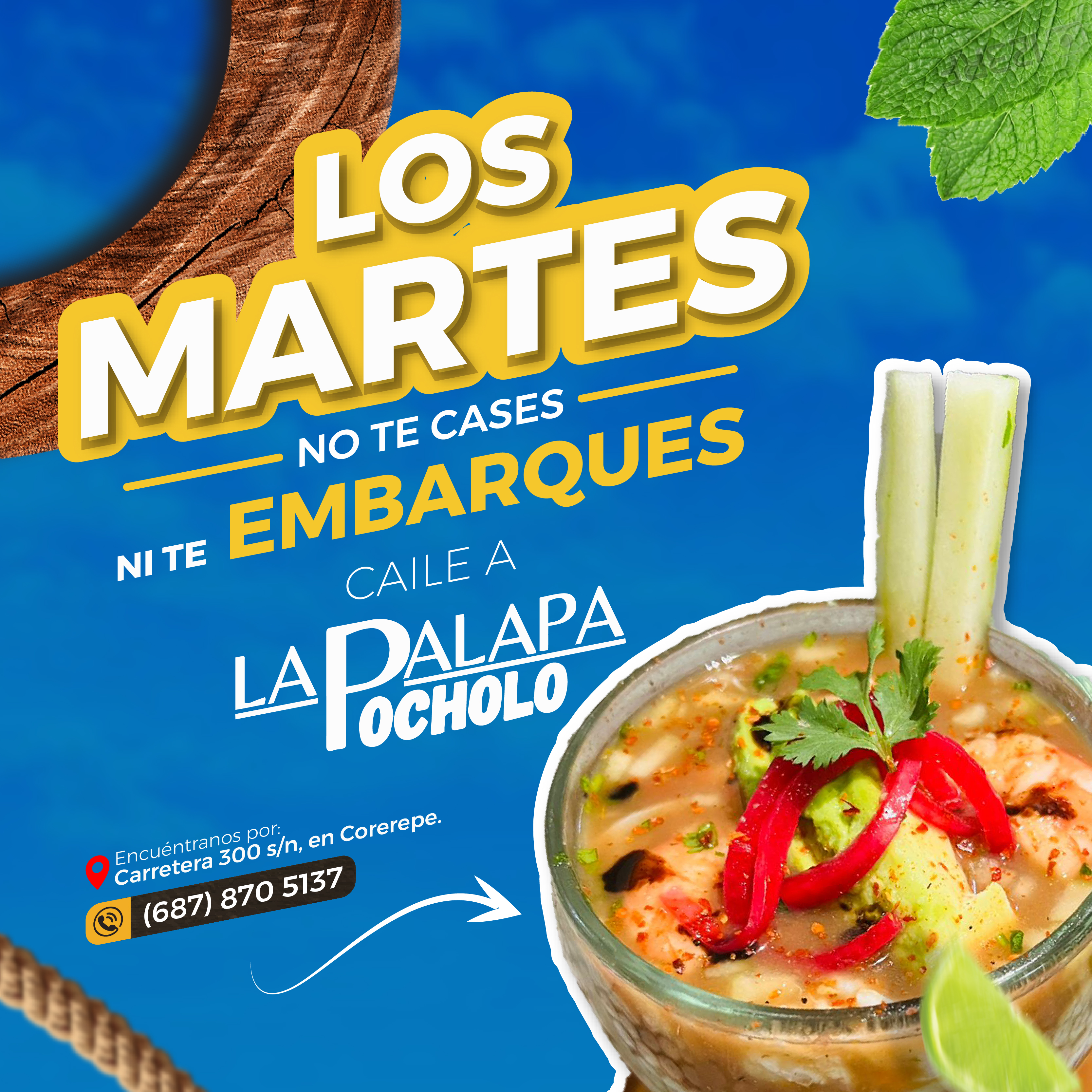 PALAPA POCHOLO COREREPE image 9