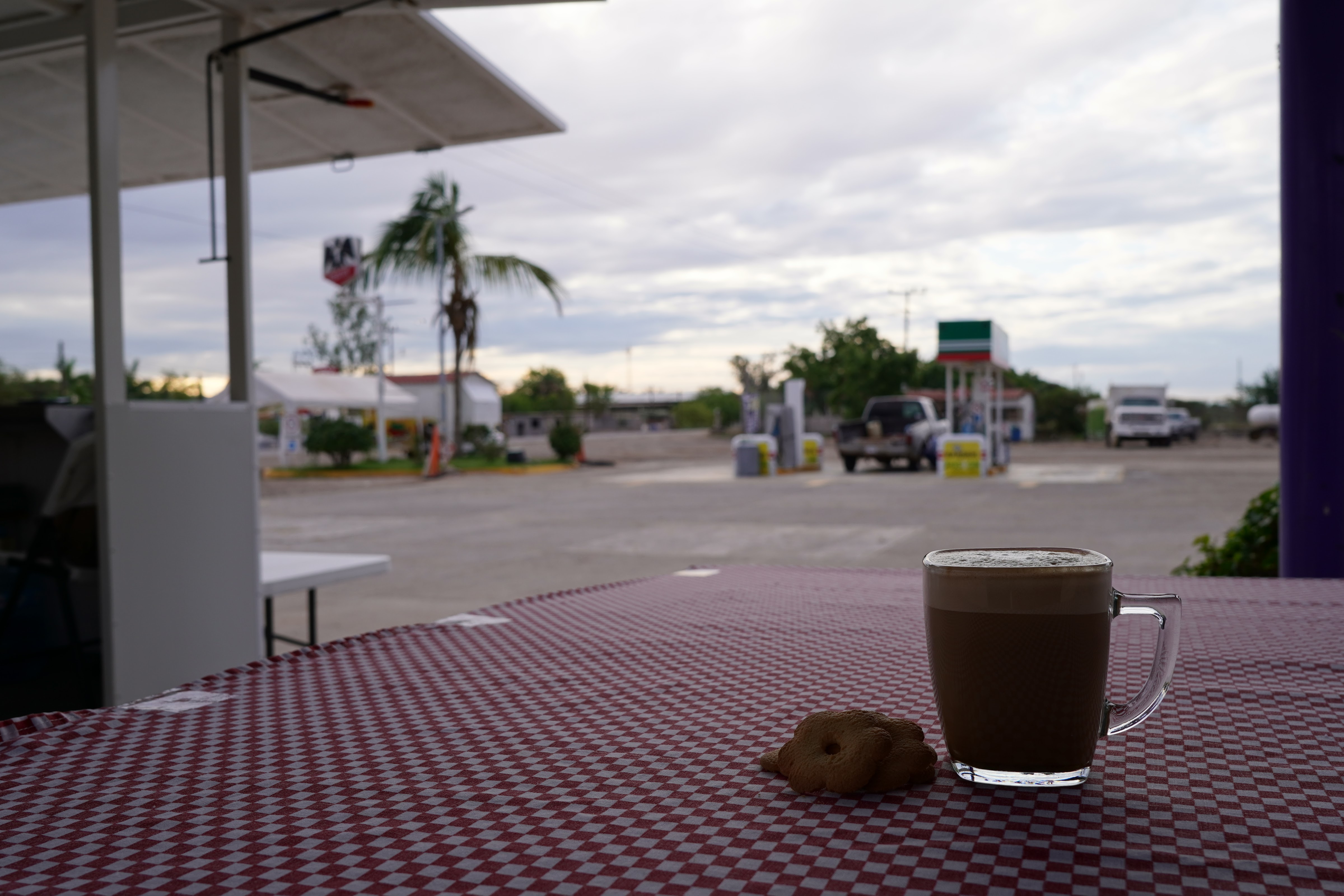 CienporcientoNat image 7