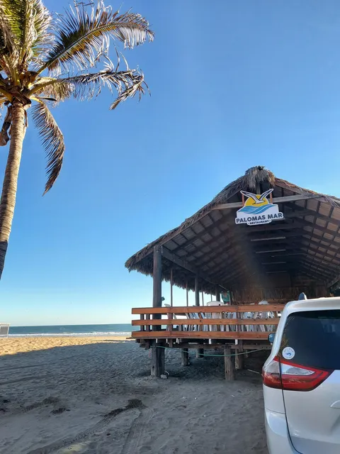 Restaurant Palomas Mar image 5
