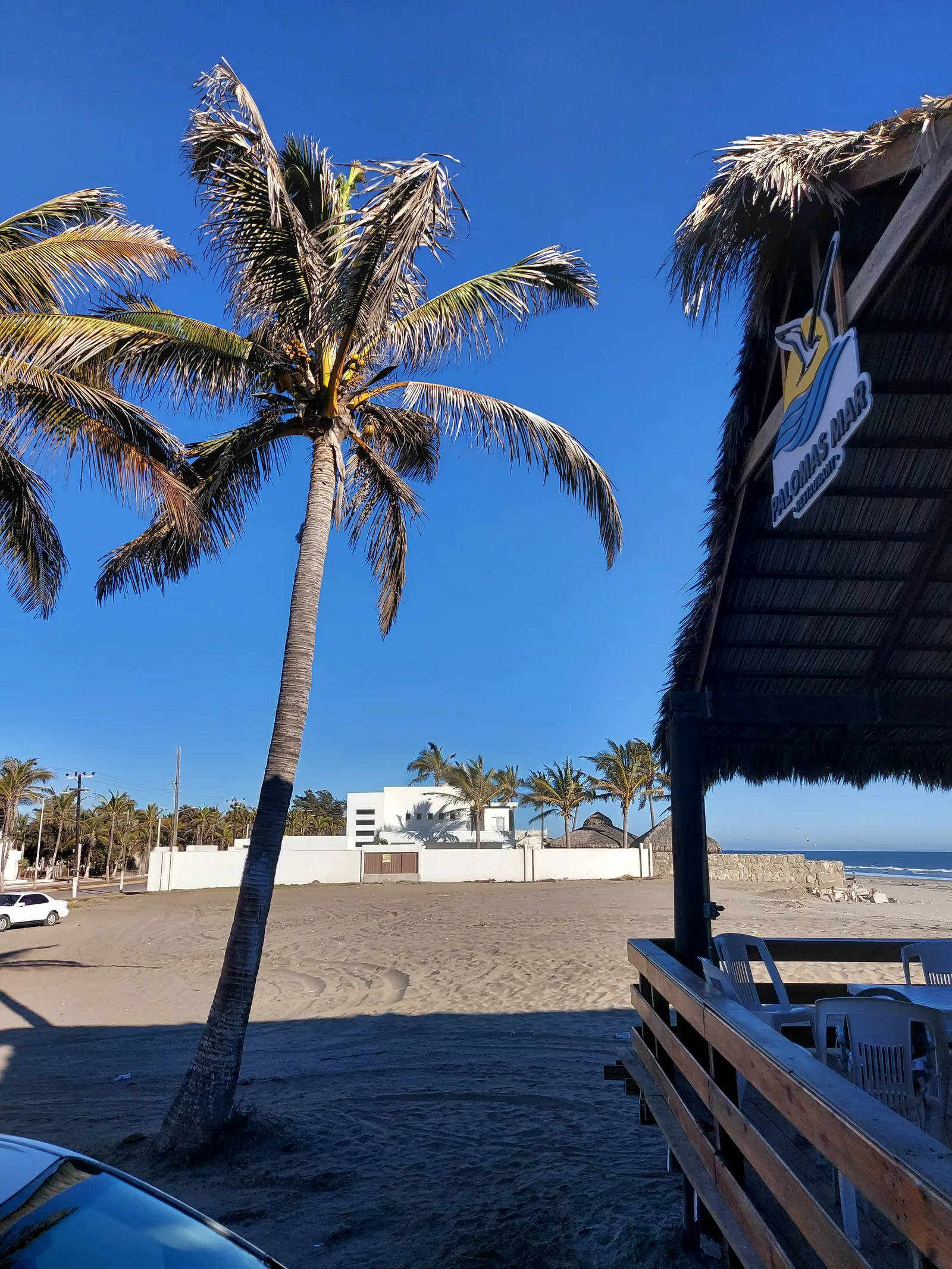 Restaurant Palomas Mar image 9