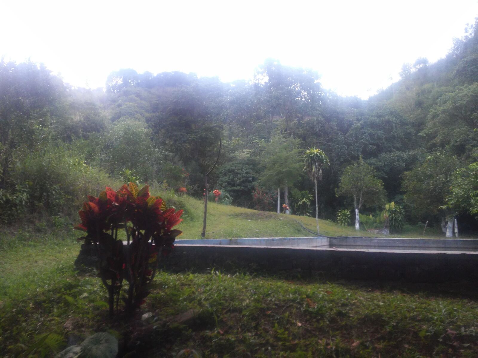 El Eden image 2