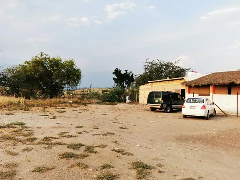 El Ciprés image 3