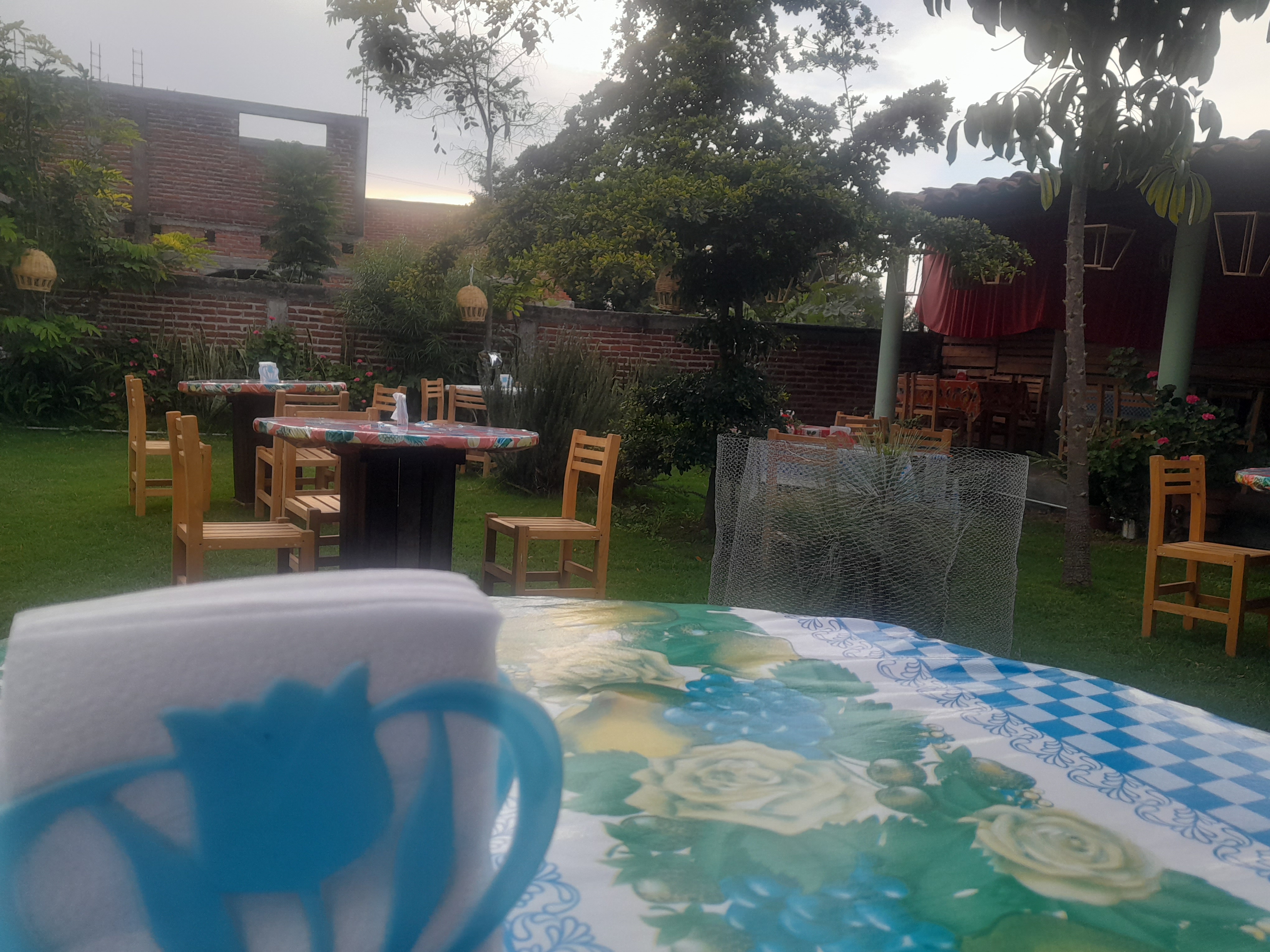 Animo mi chuy image 4