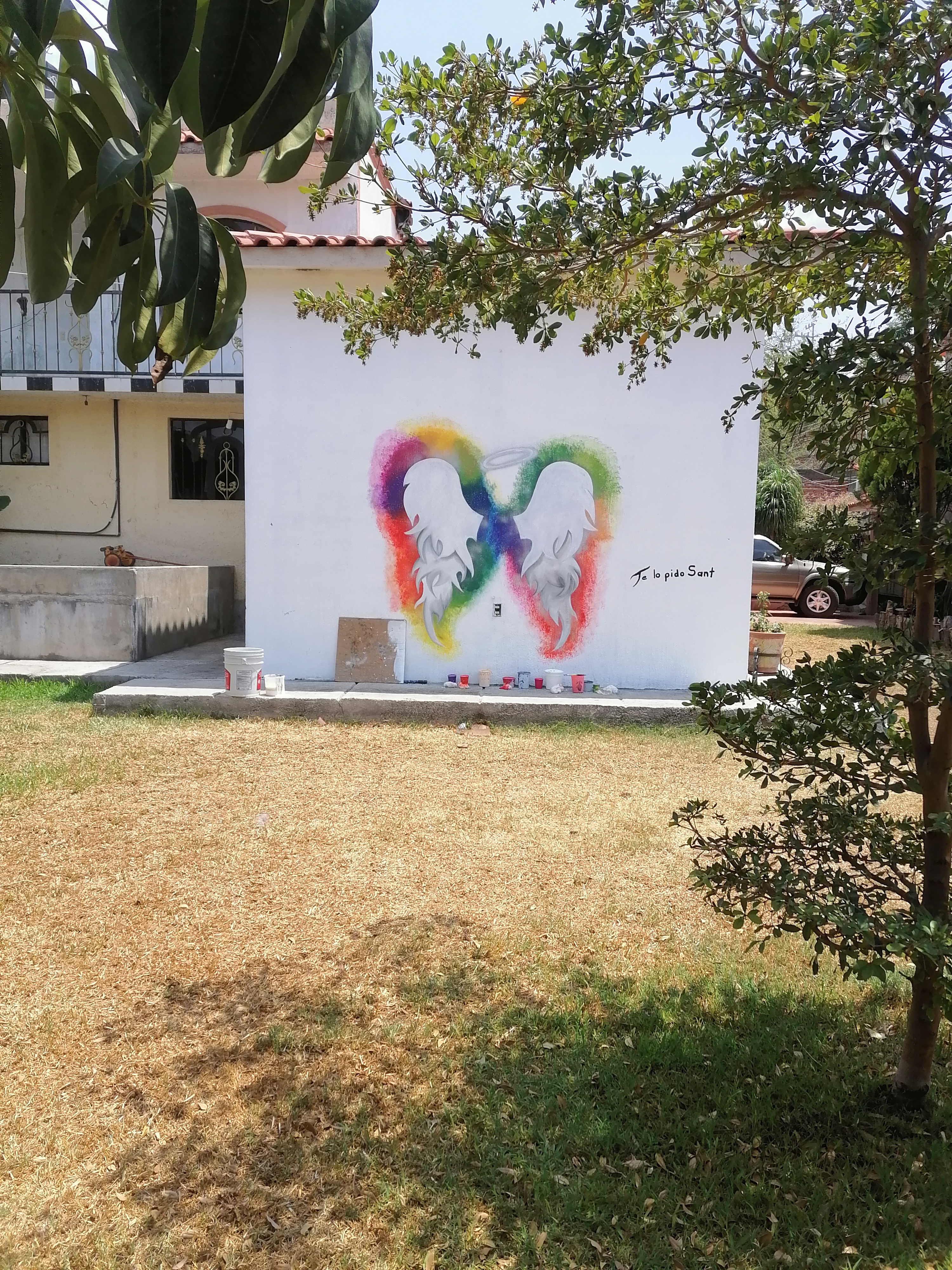 Animo mi chuy image 5