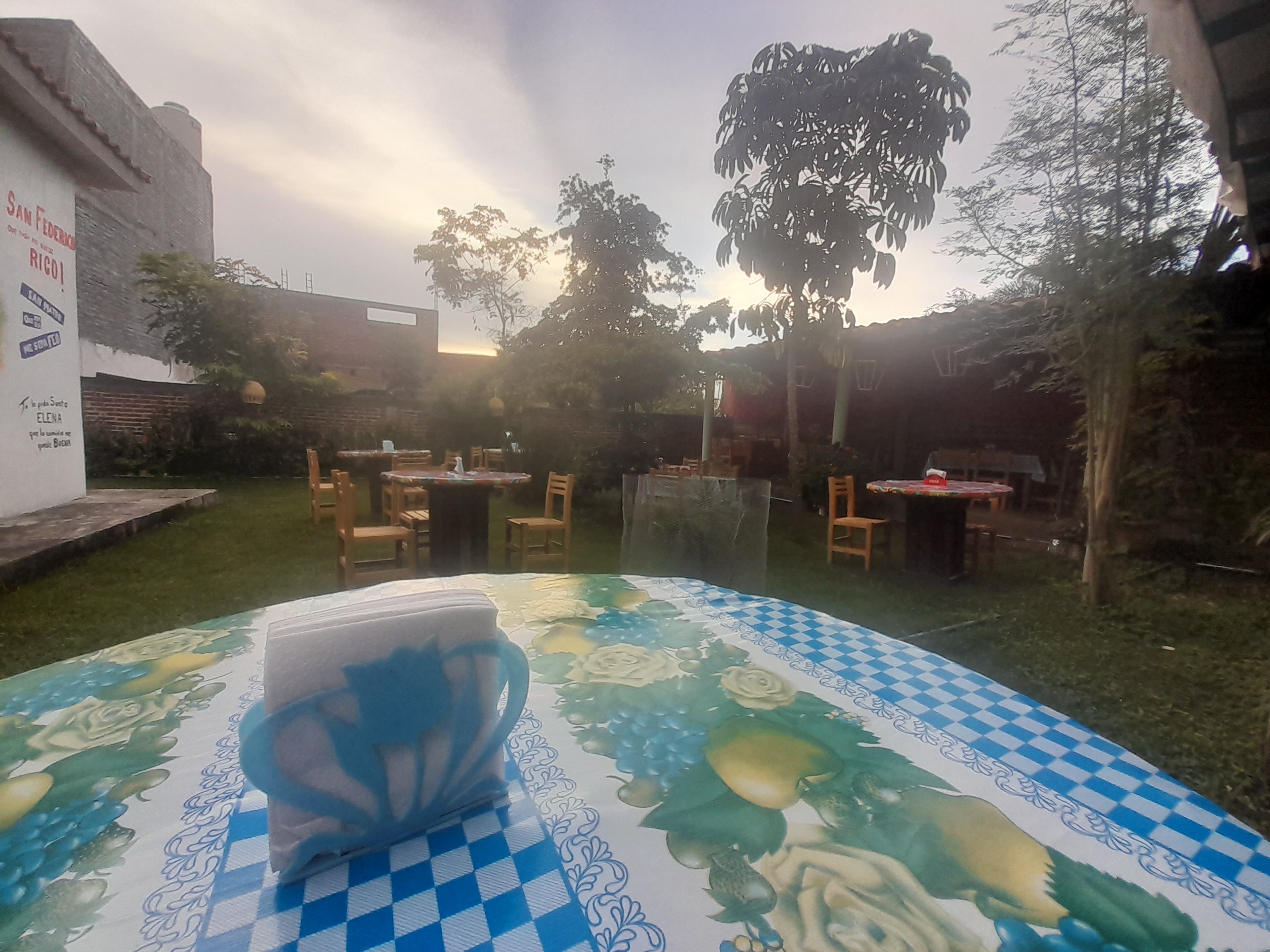 Animo mi chuy image 8