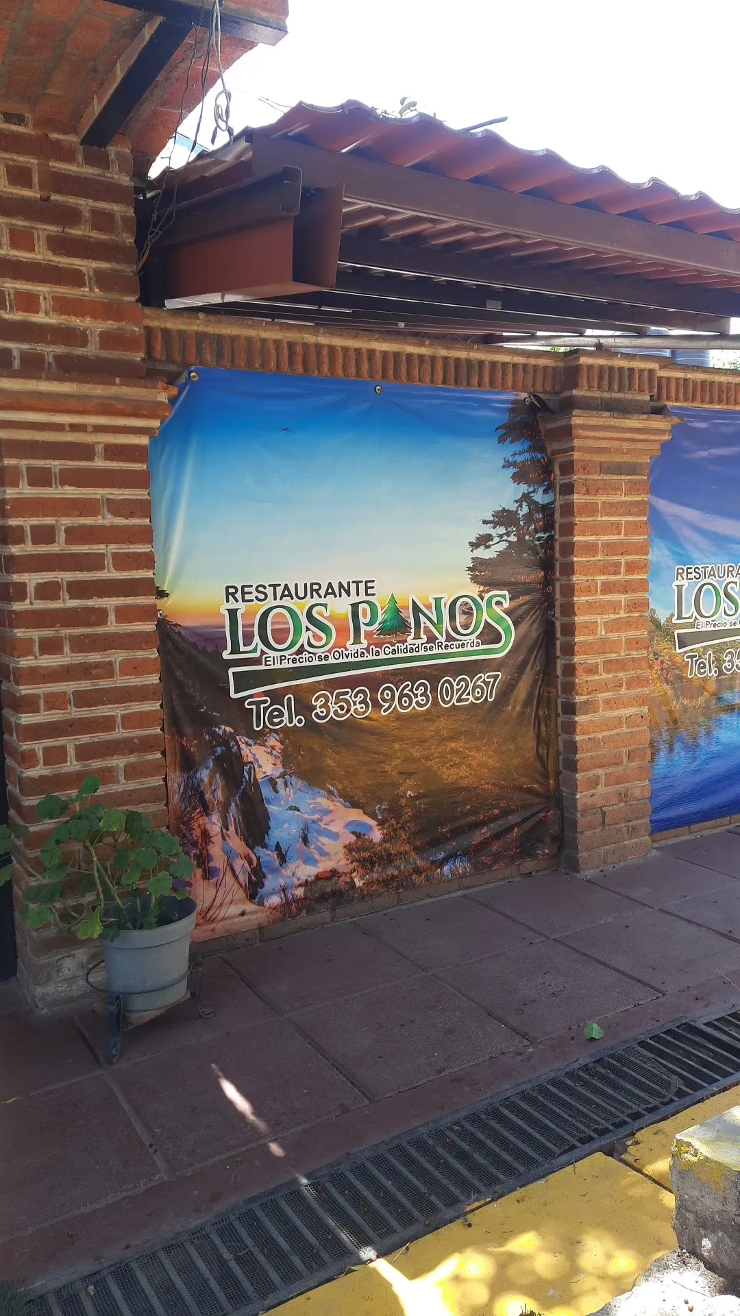 Restaurante Los Pinos image 2