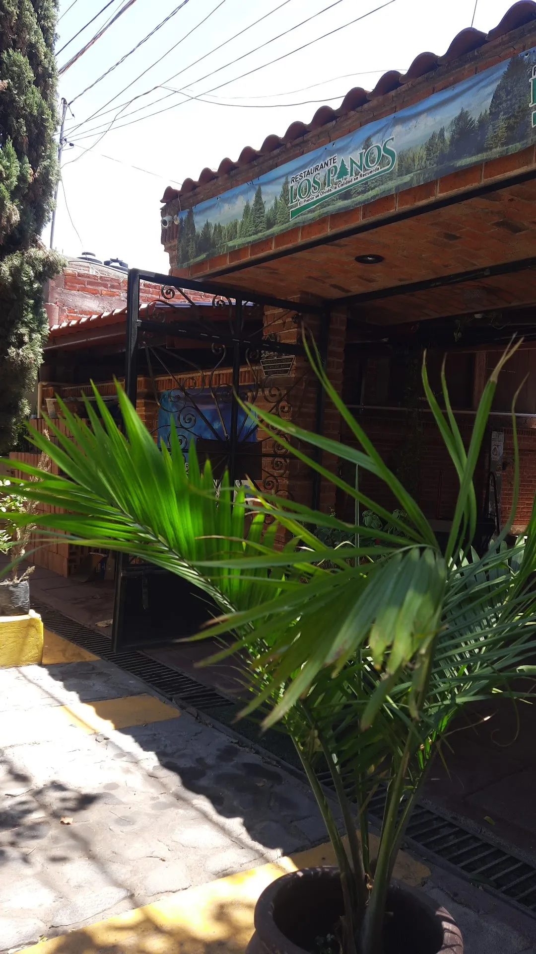 Restaurante Los Pinos image 3