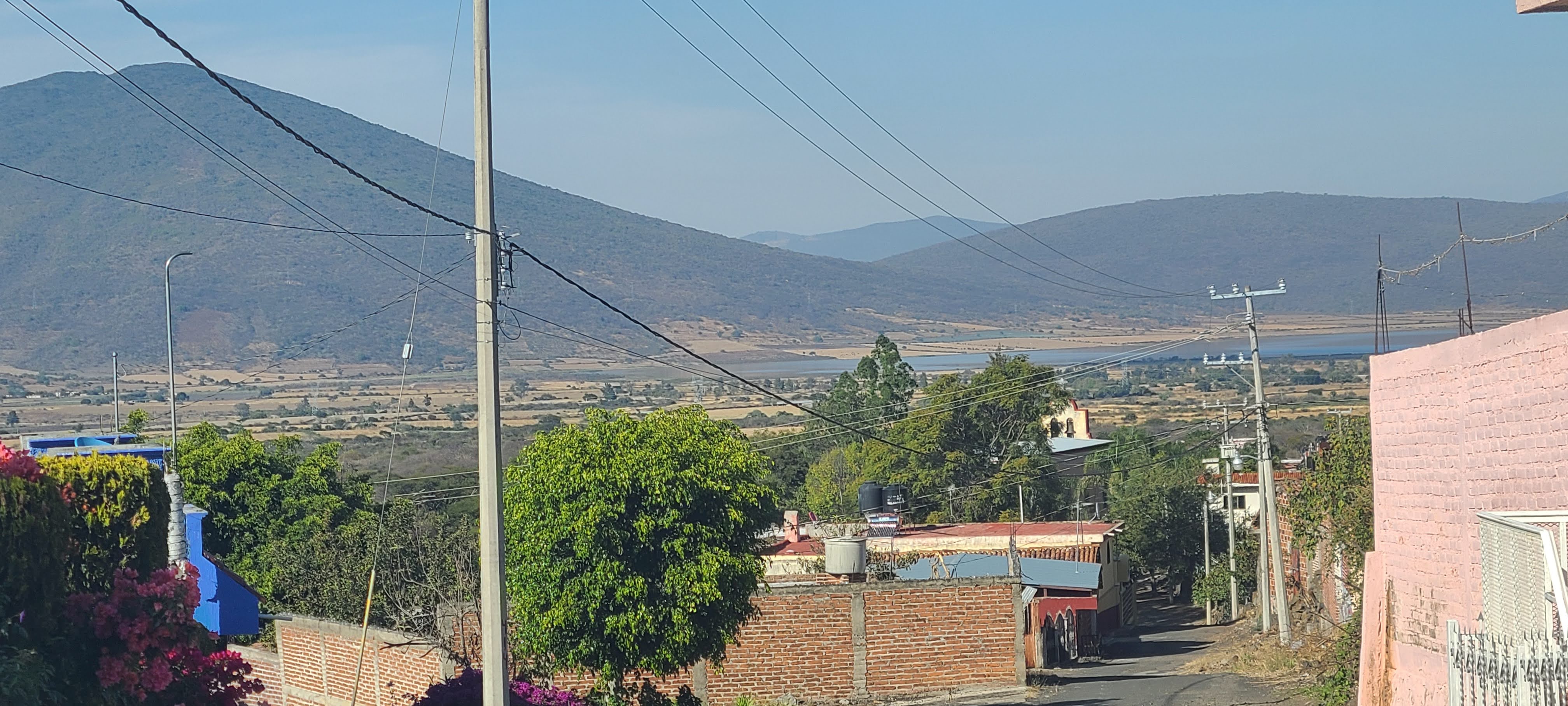 Restaurante Bar el Junco image 5