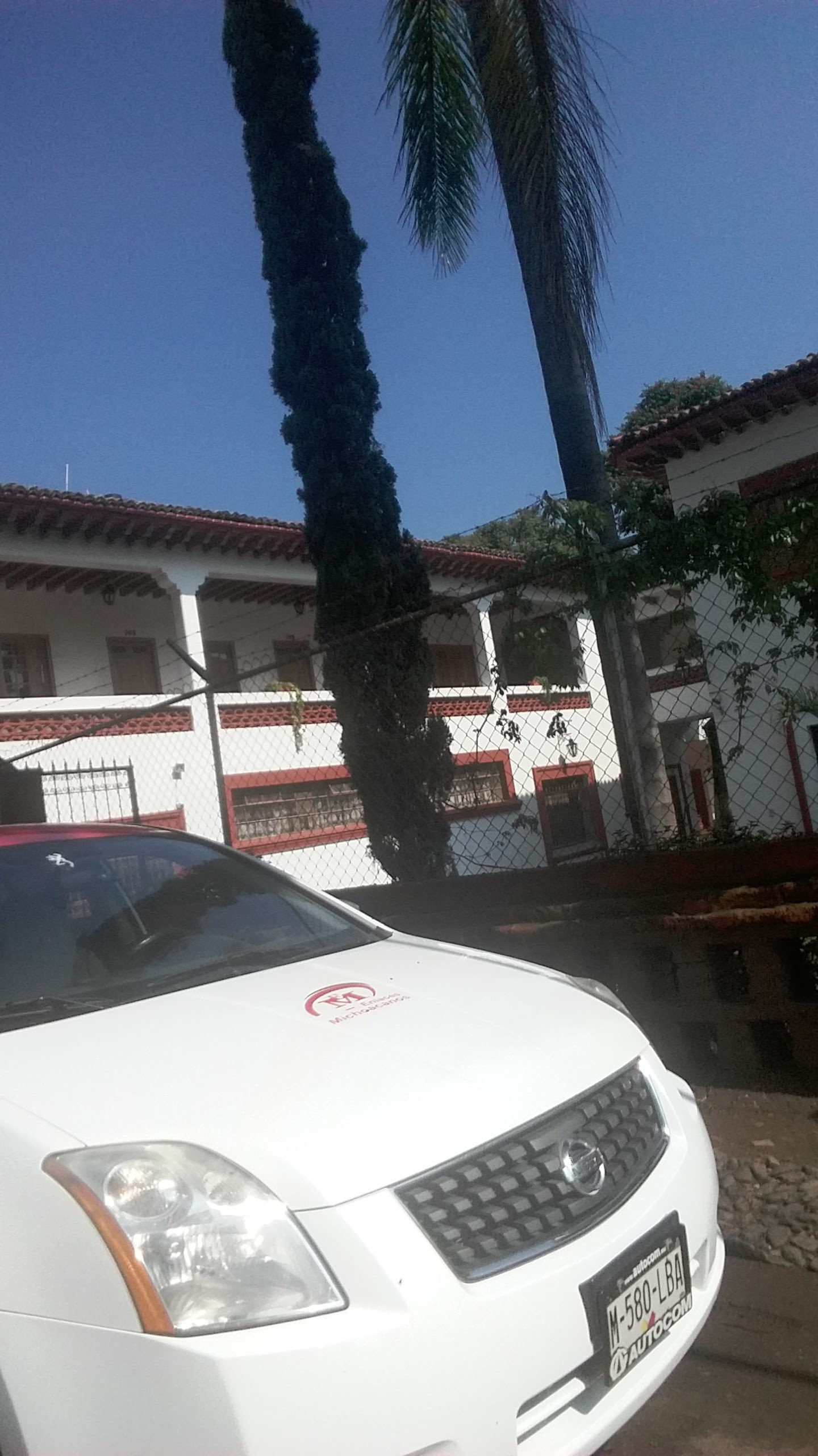 Restaurante Bar el Junco image 9