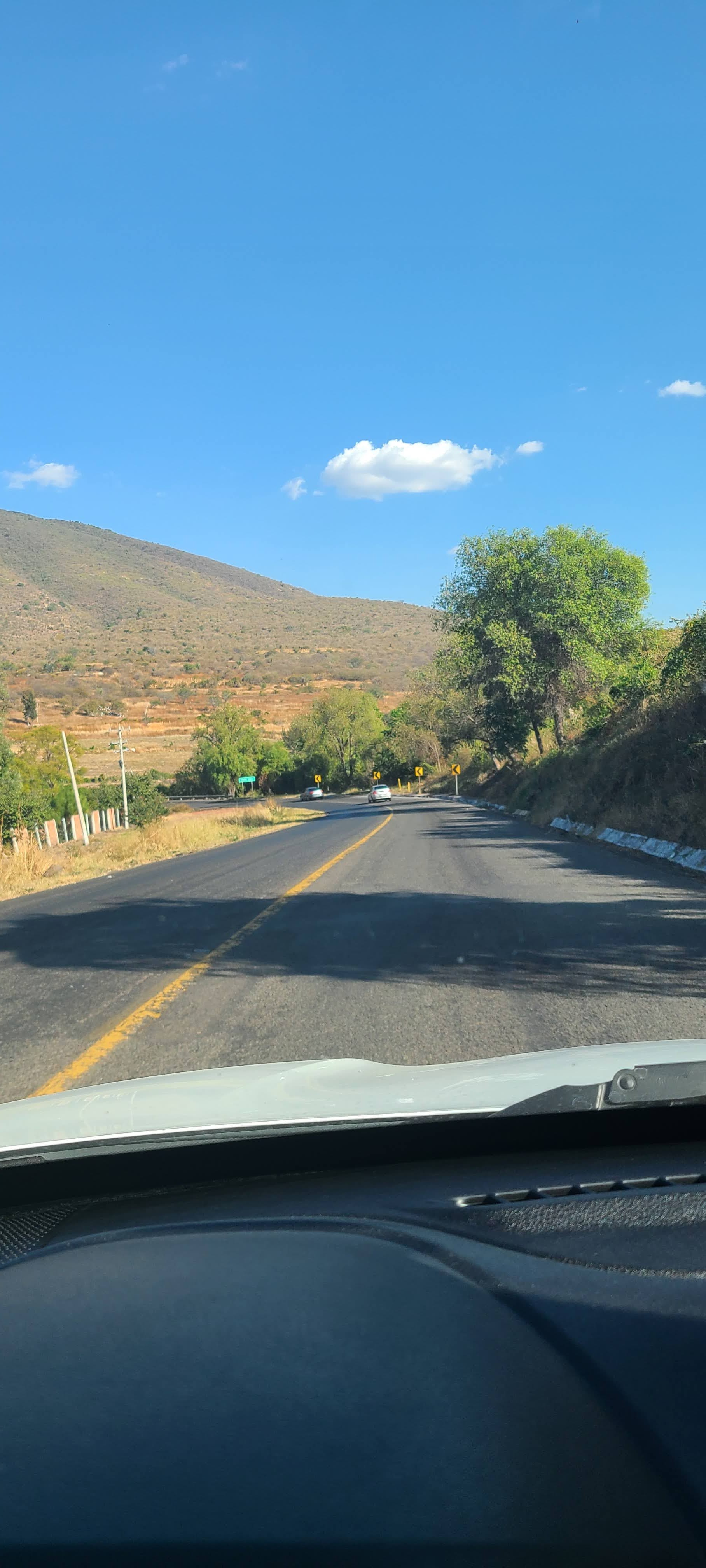 Restaurante Bar el Junco image 10