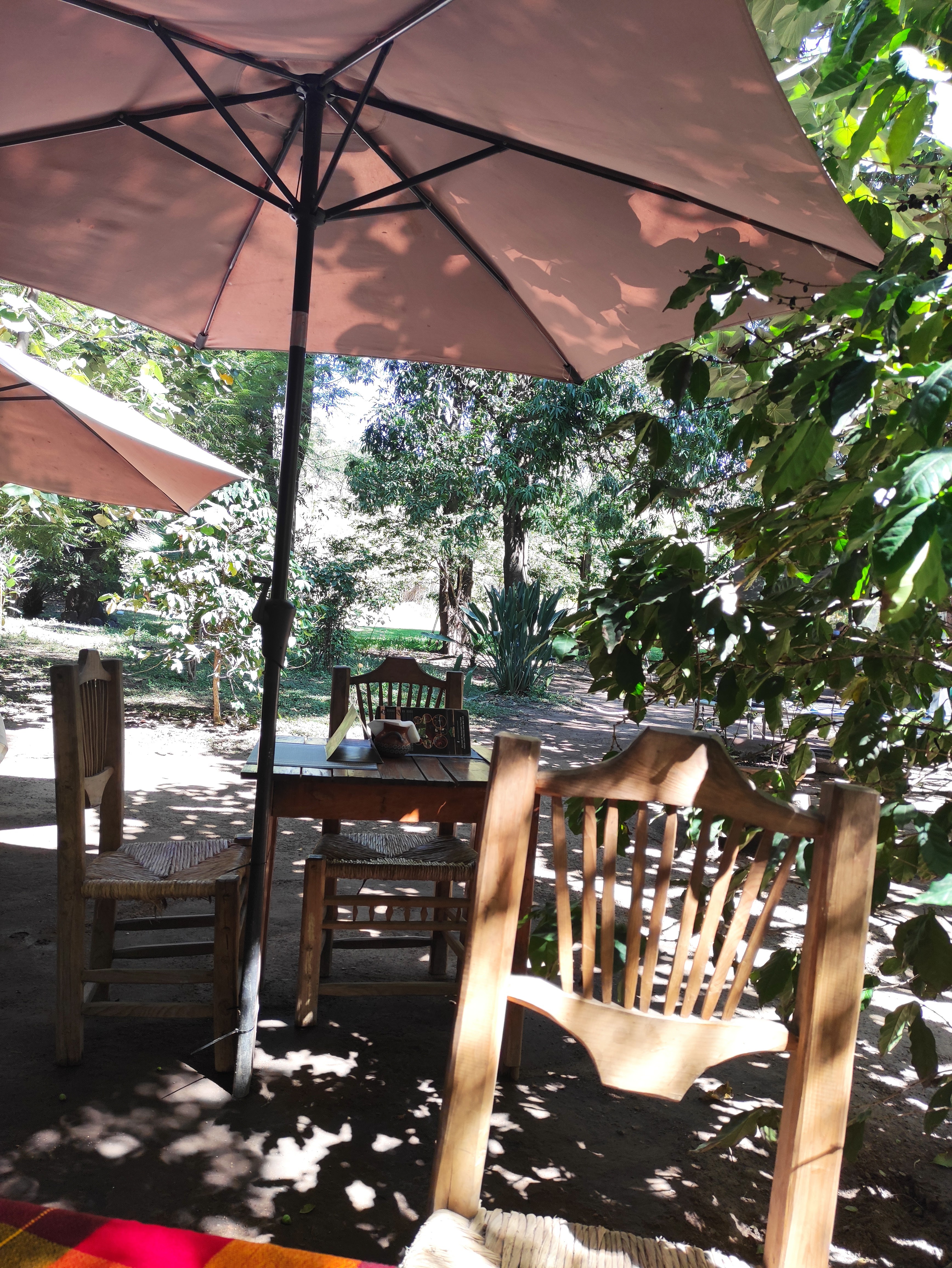 Restaurant Campestre la huerta image 7