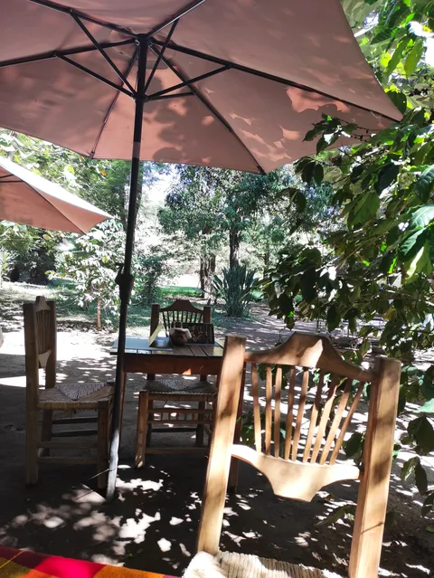 Restaurant Campestre la huerta image 7