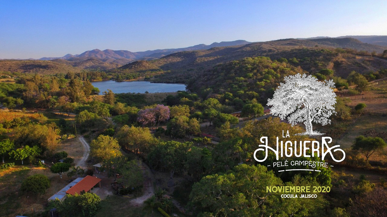 La Higuera Cocula image 3