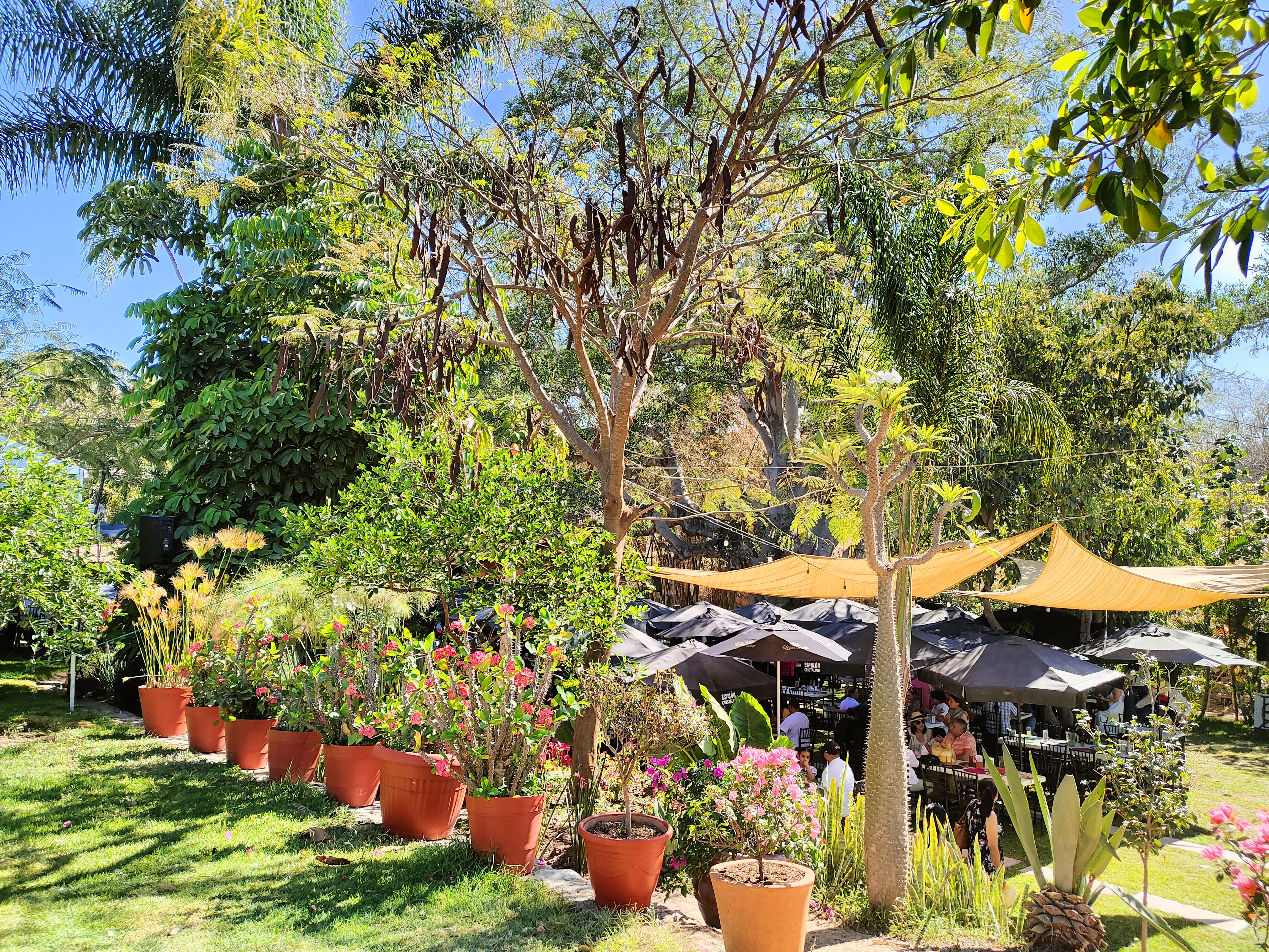 La Higuera Cocula image 4