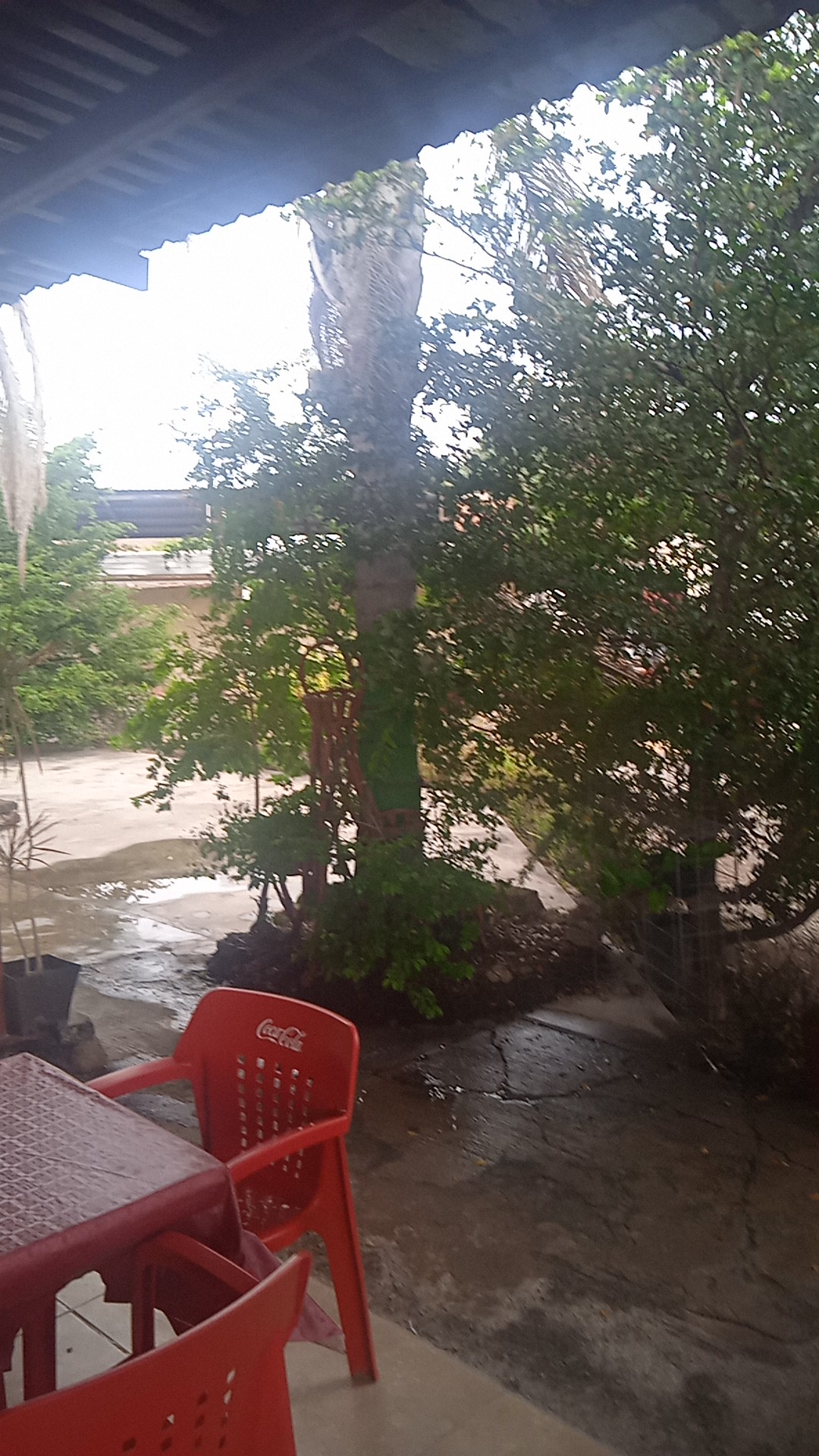 Restaurant "La Bascula" image 1