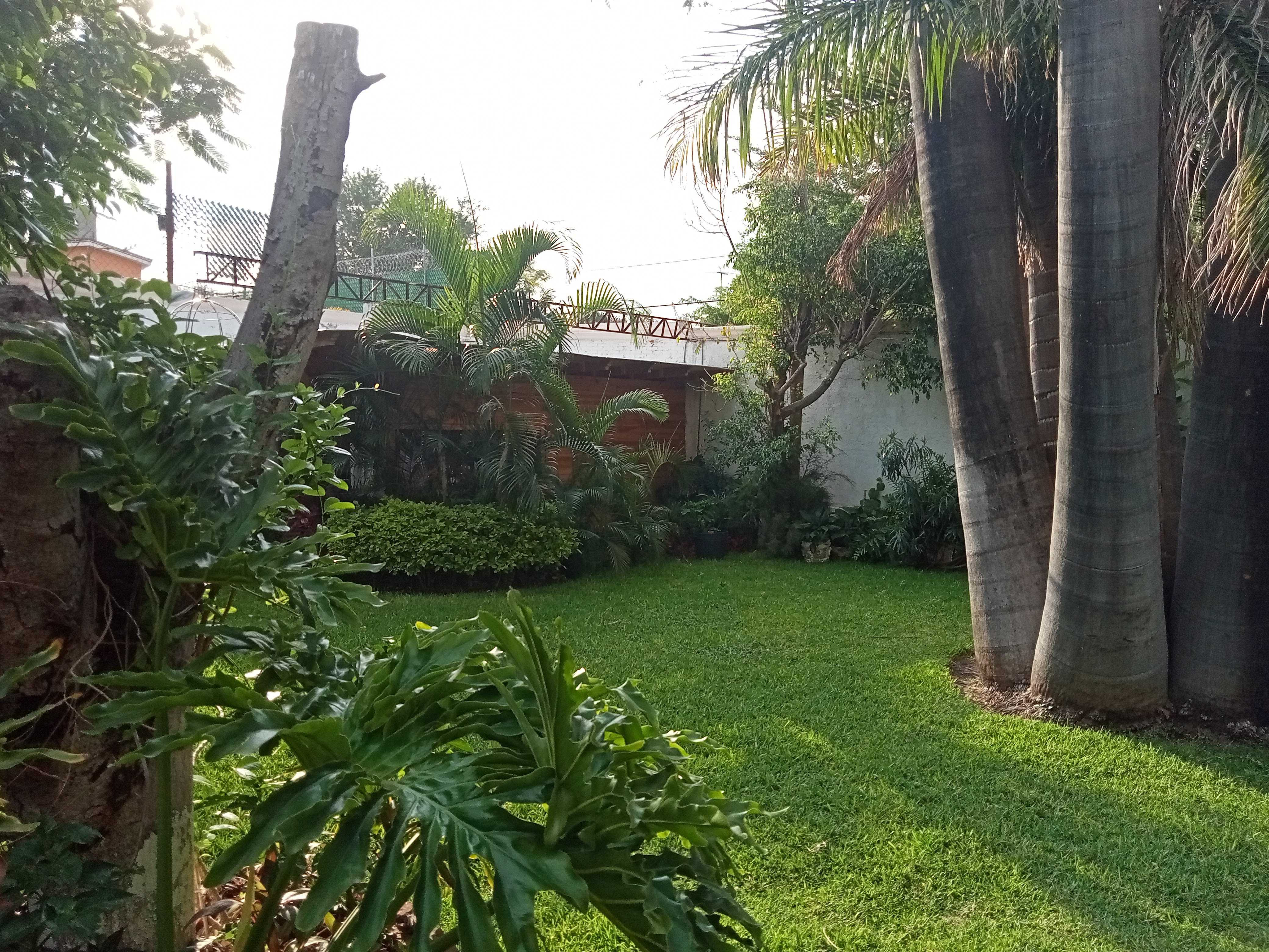 Restaurante Bar Familiar "Las Palmas" image 8