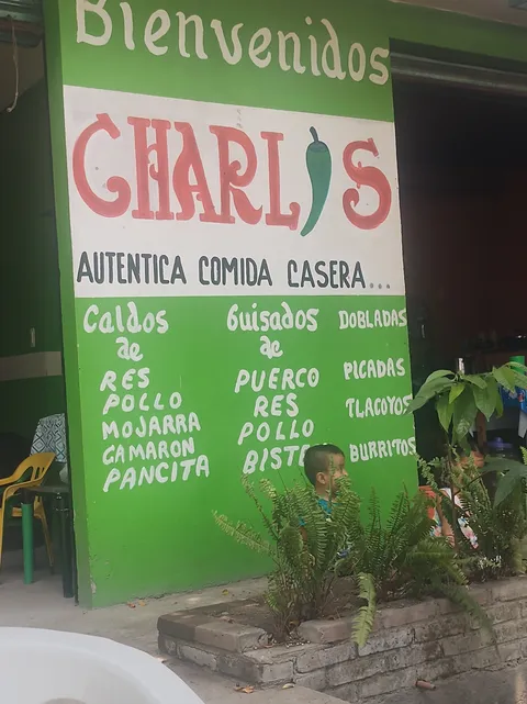 Charlis image 7
