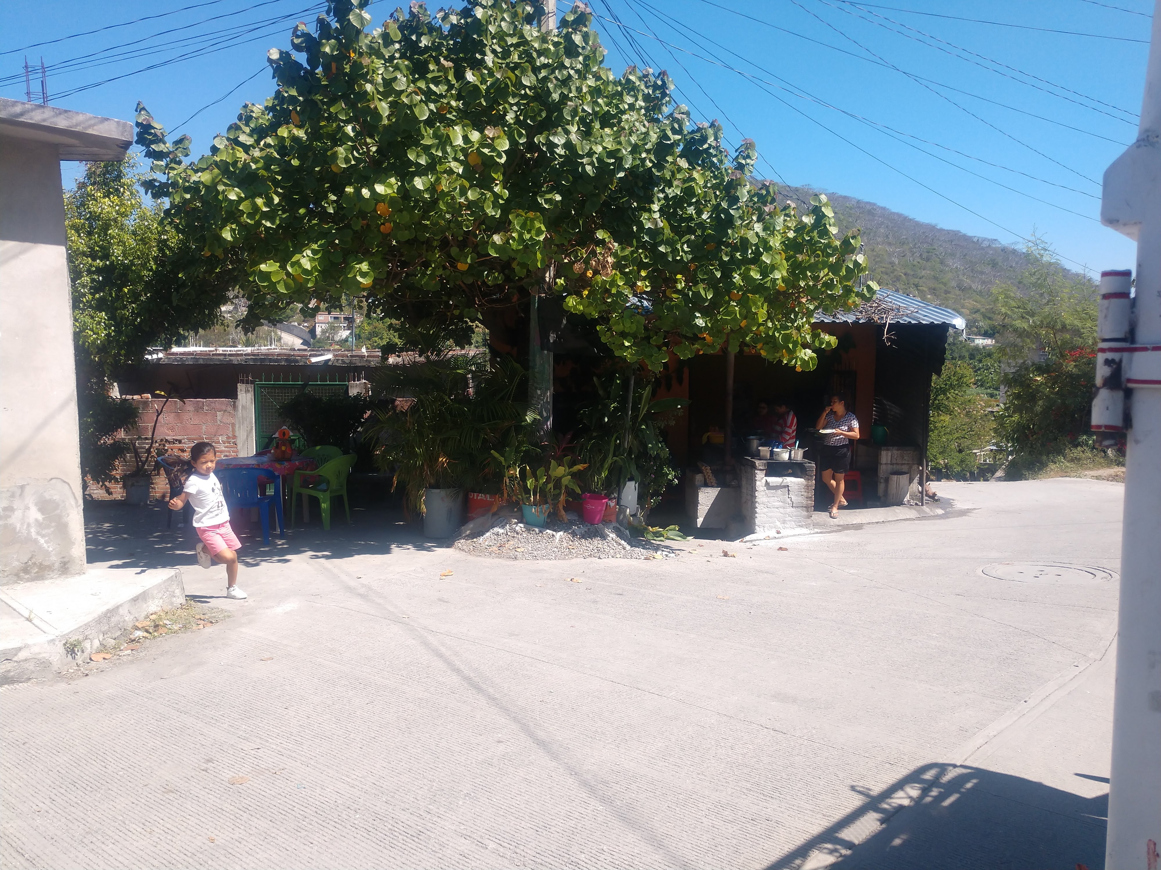 El Tlacoyo loco "las manitas" image 6