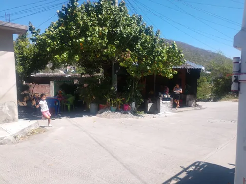 El Tlacoyo loco "las manitas" image 6