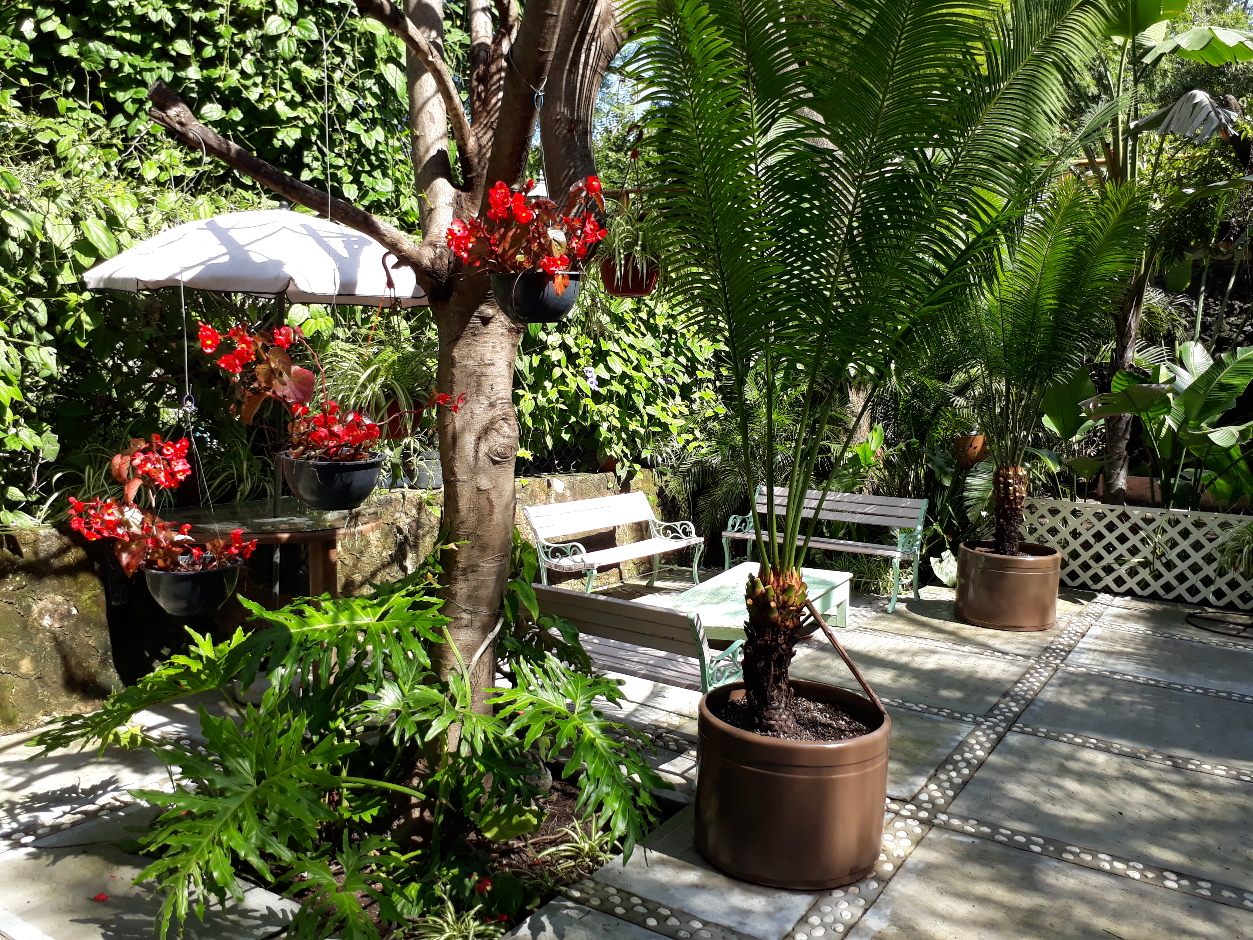 Restaurant Junto Al Rio image 7