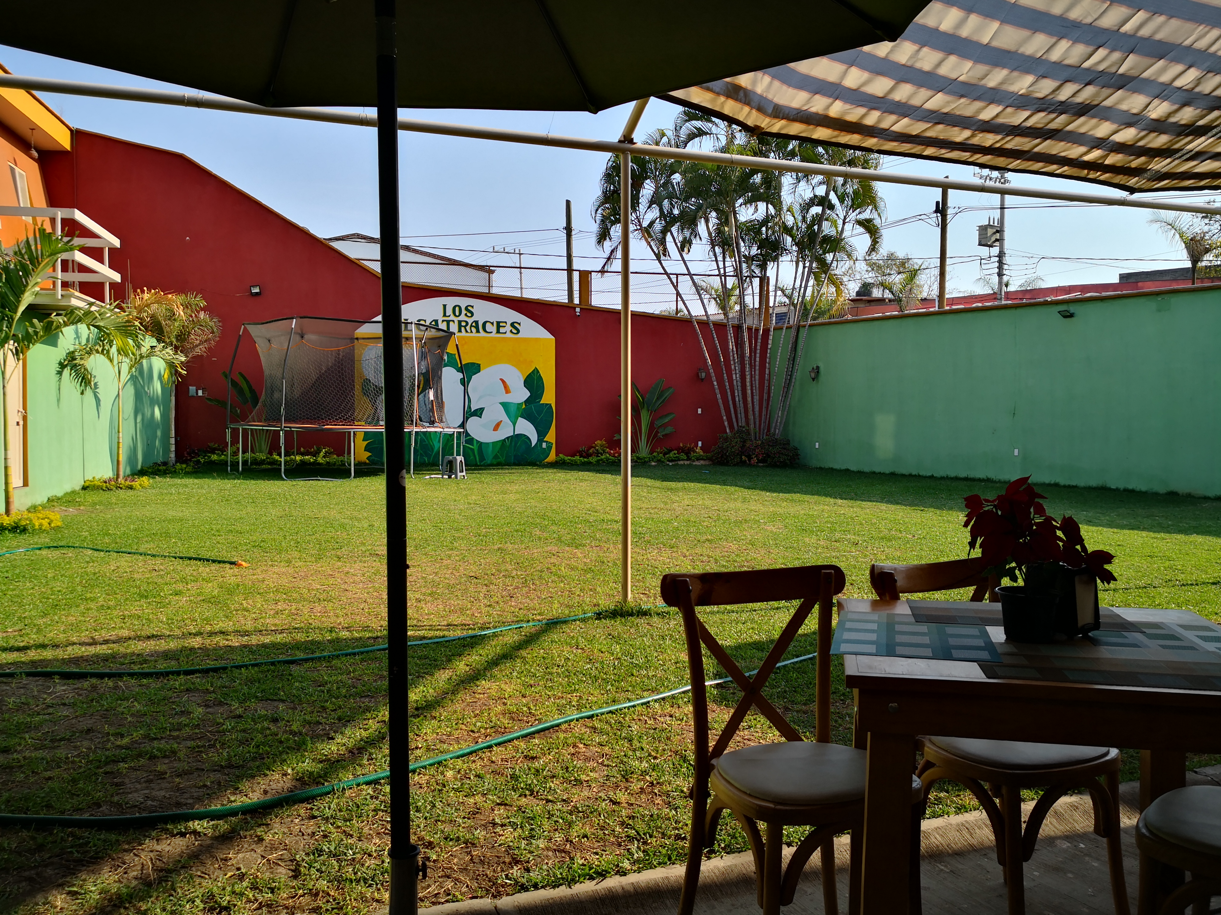 Los Alcatraces Restaurante image 8