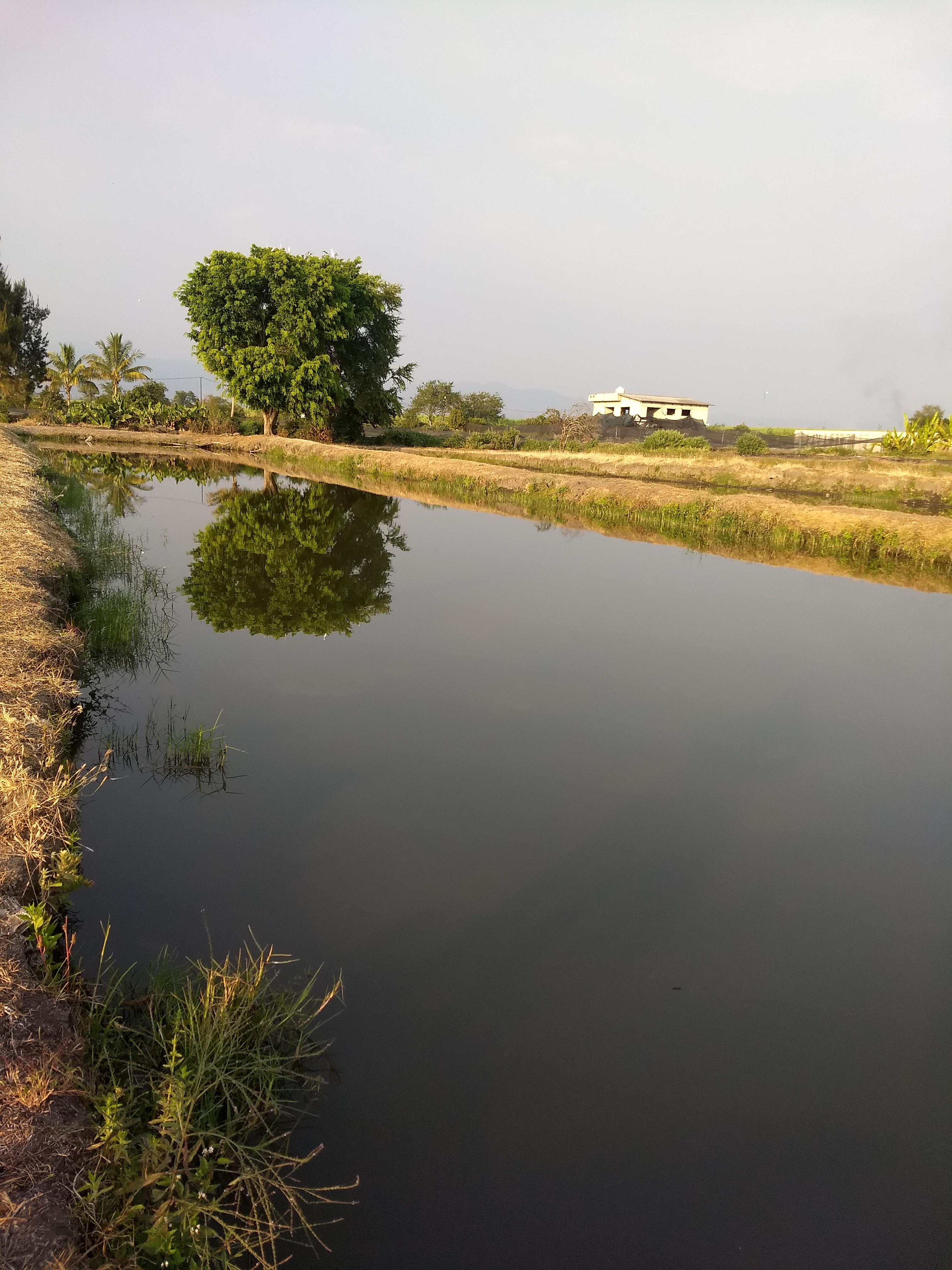 Restaurante Los Estanques image 5