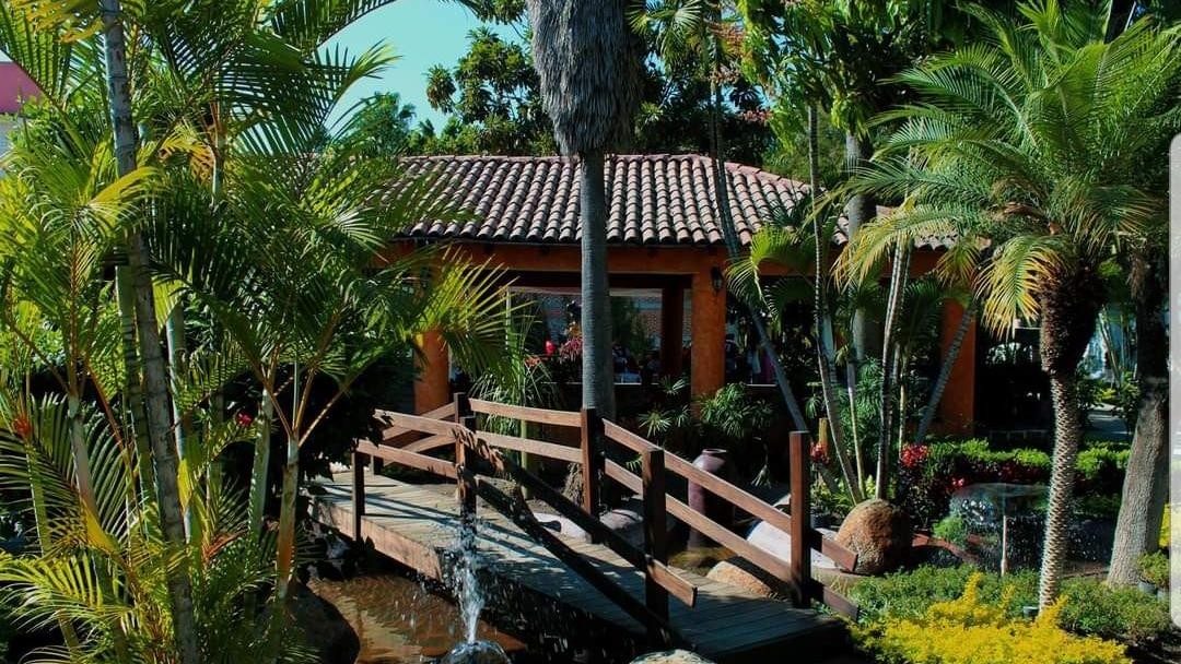 Restaurante Palma Real image 3