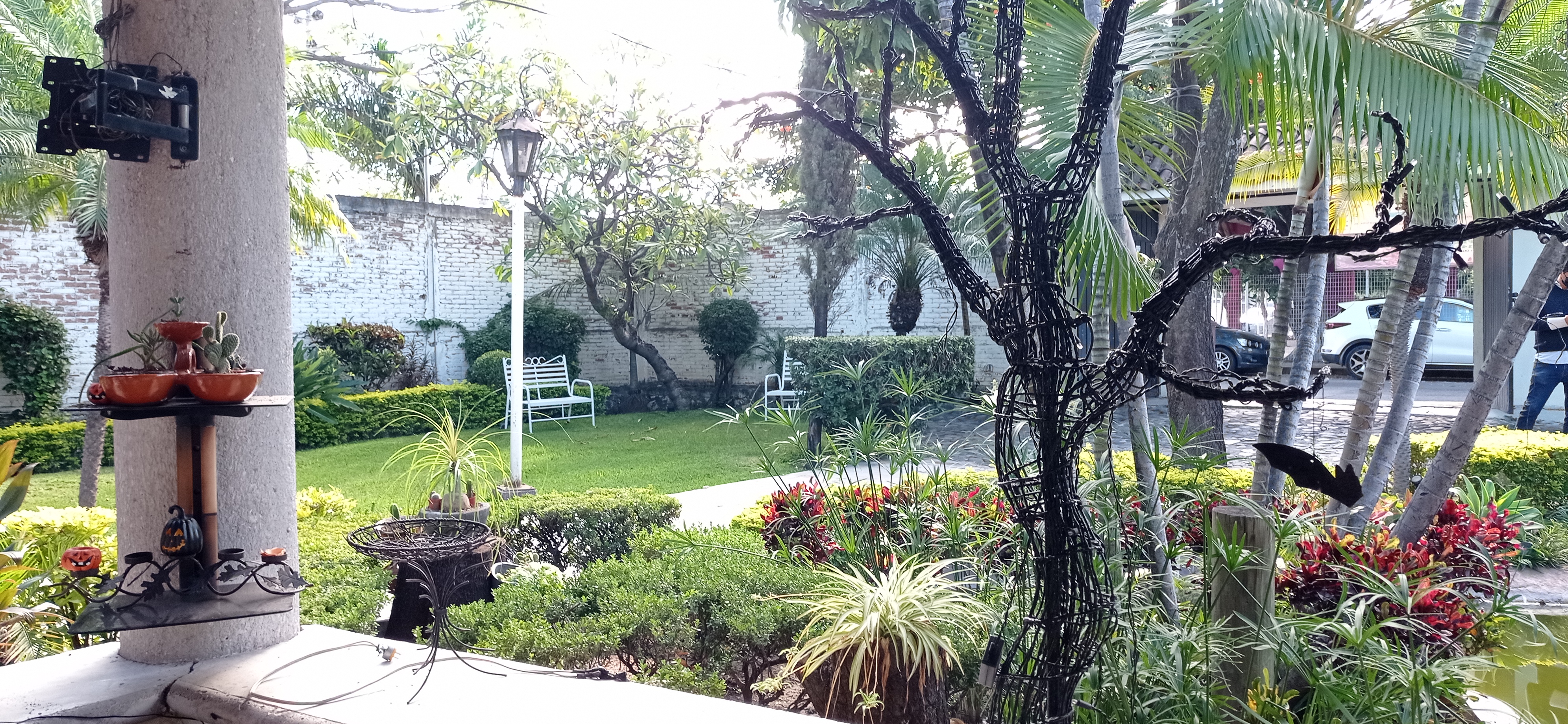 Restaurante Palma Real image 8