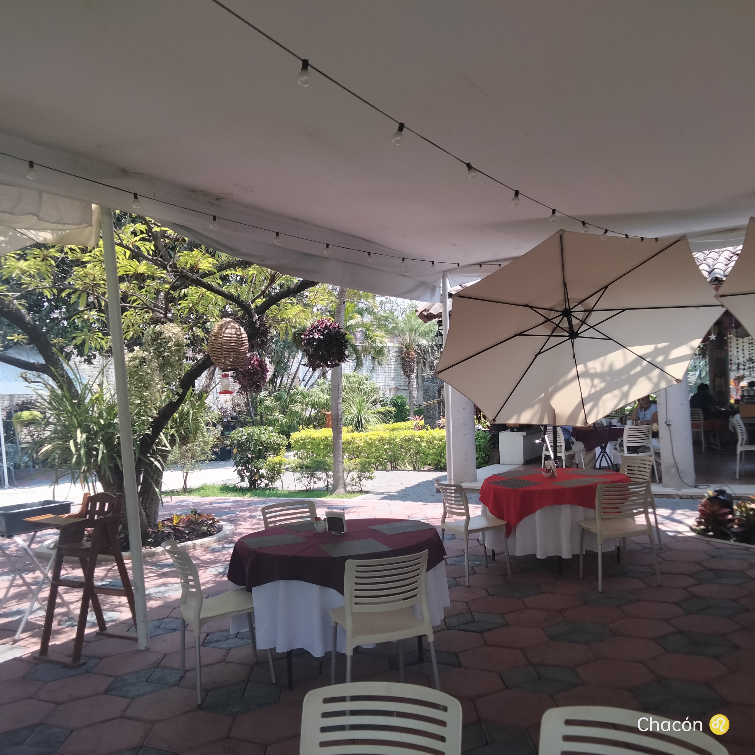 Restaurante Palma Real image 9