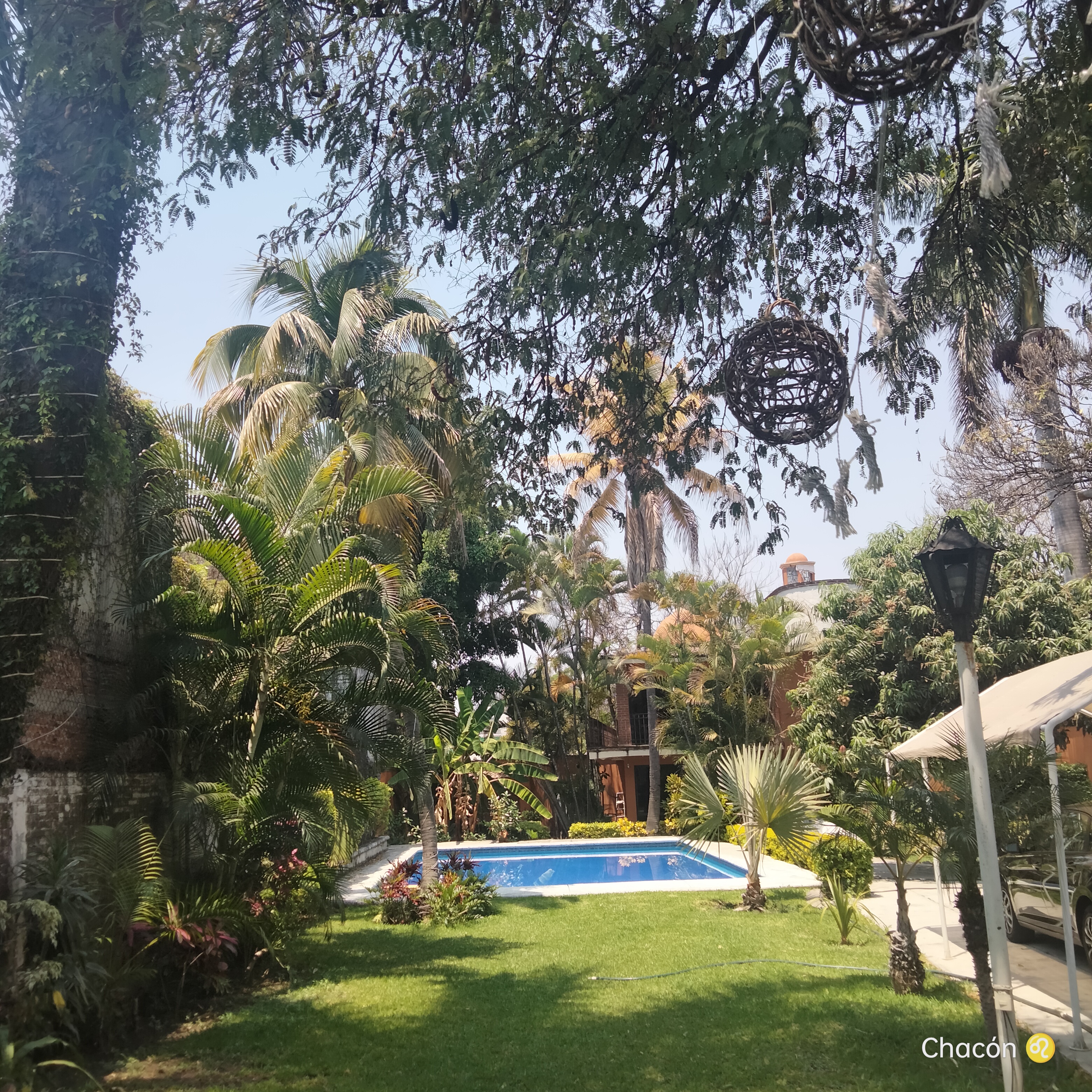 Restaurante Palma Real image 10