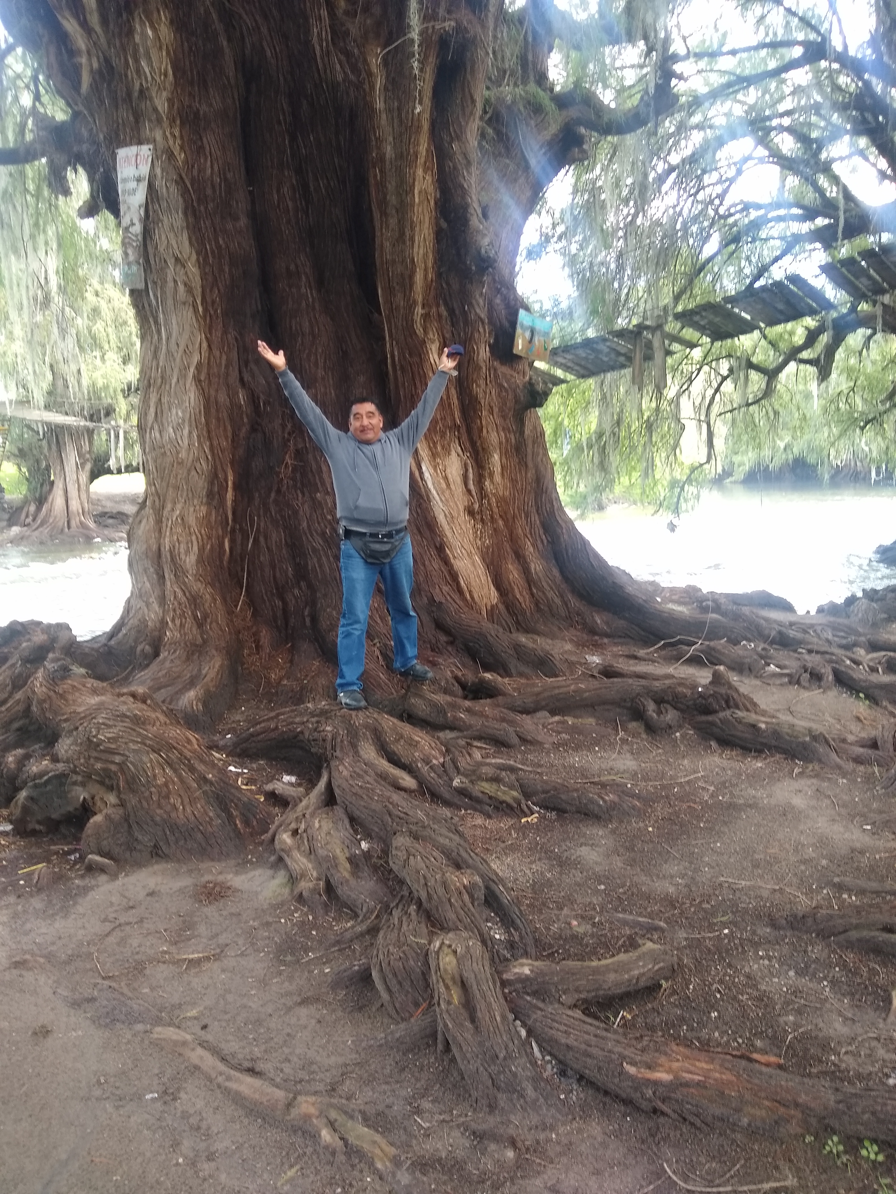 Tacos la "REGIA" image 3