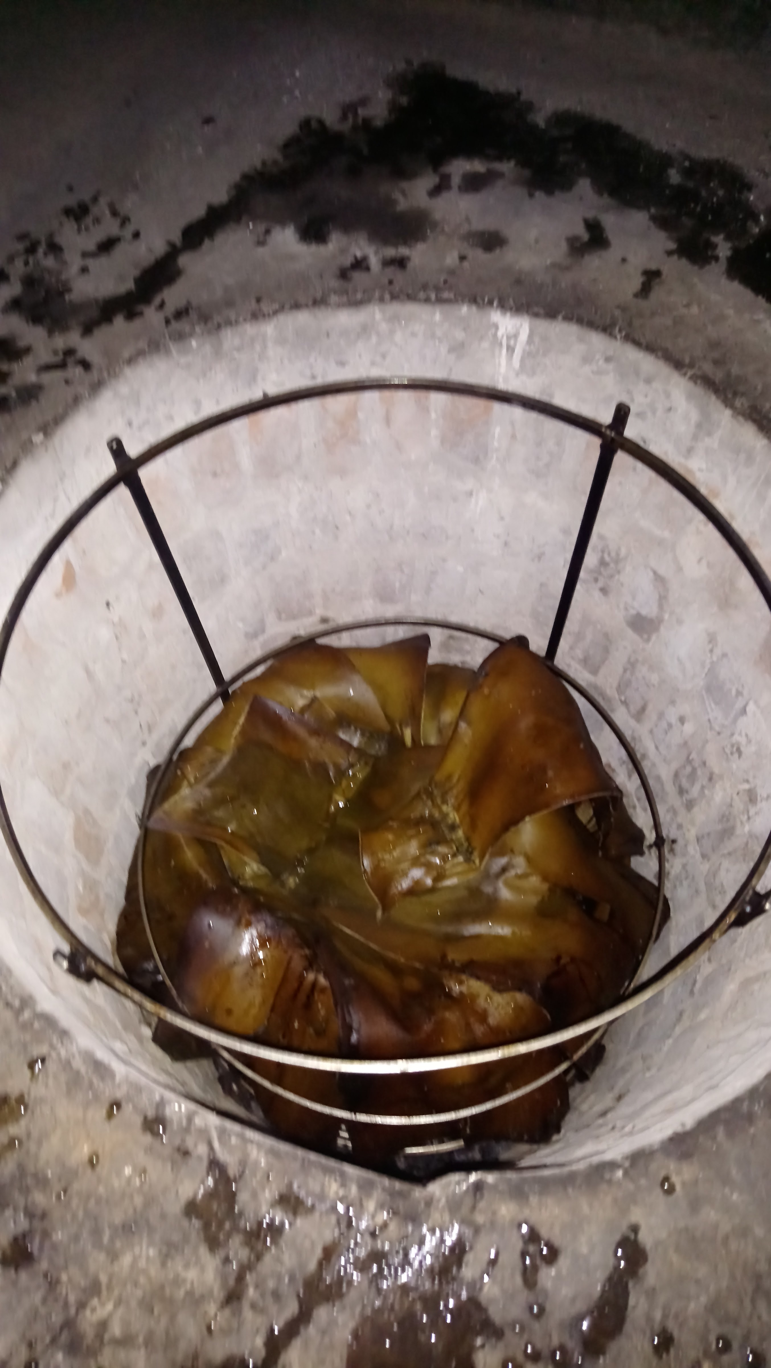 Barbacoa "Olivares" image 5