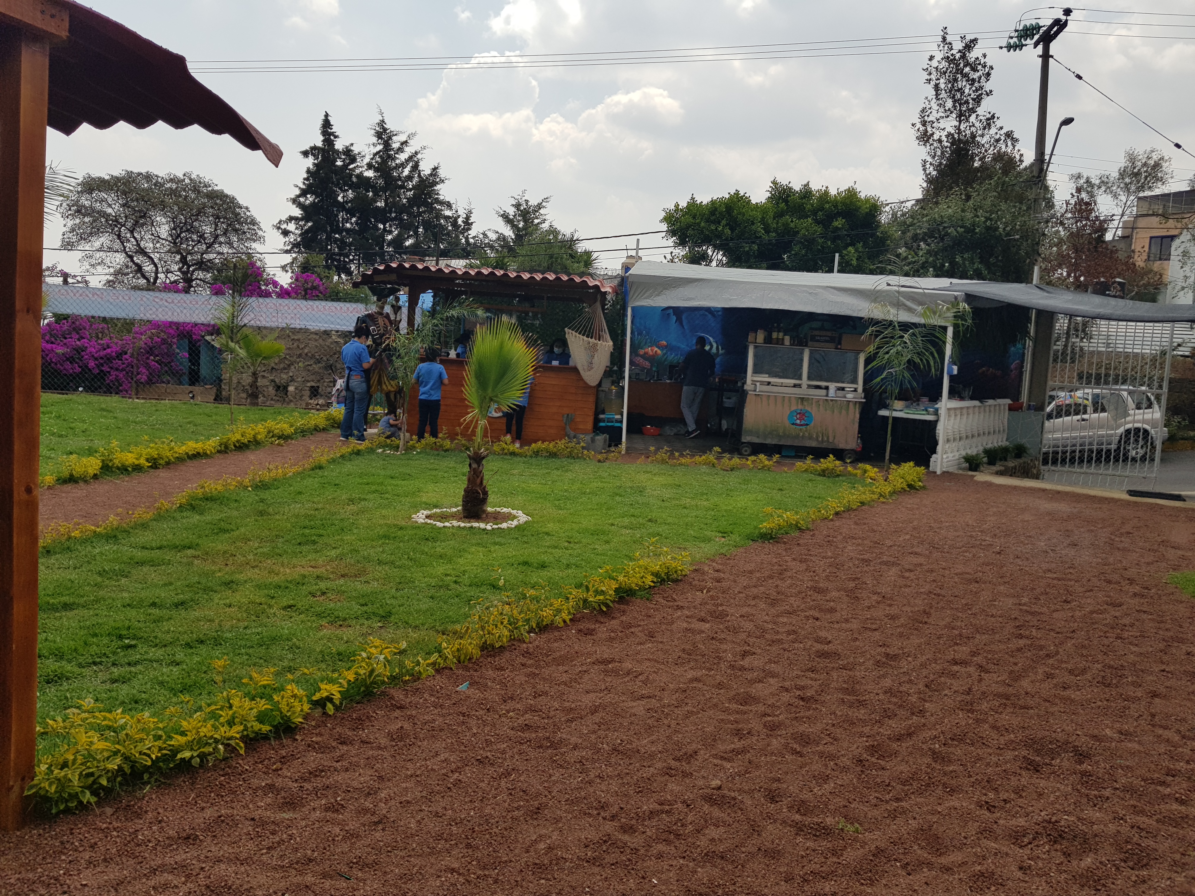 Marisquería Hunter Fish image 5