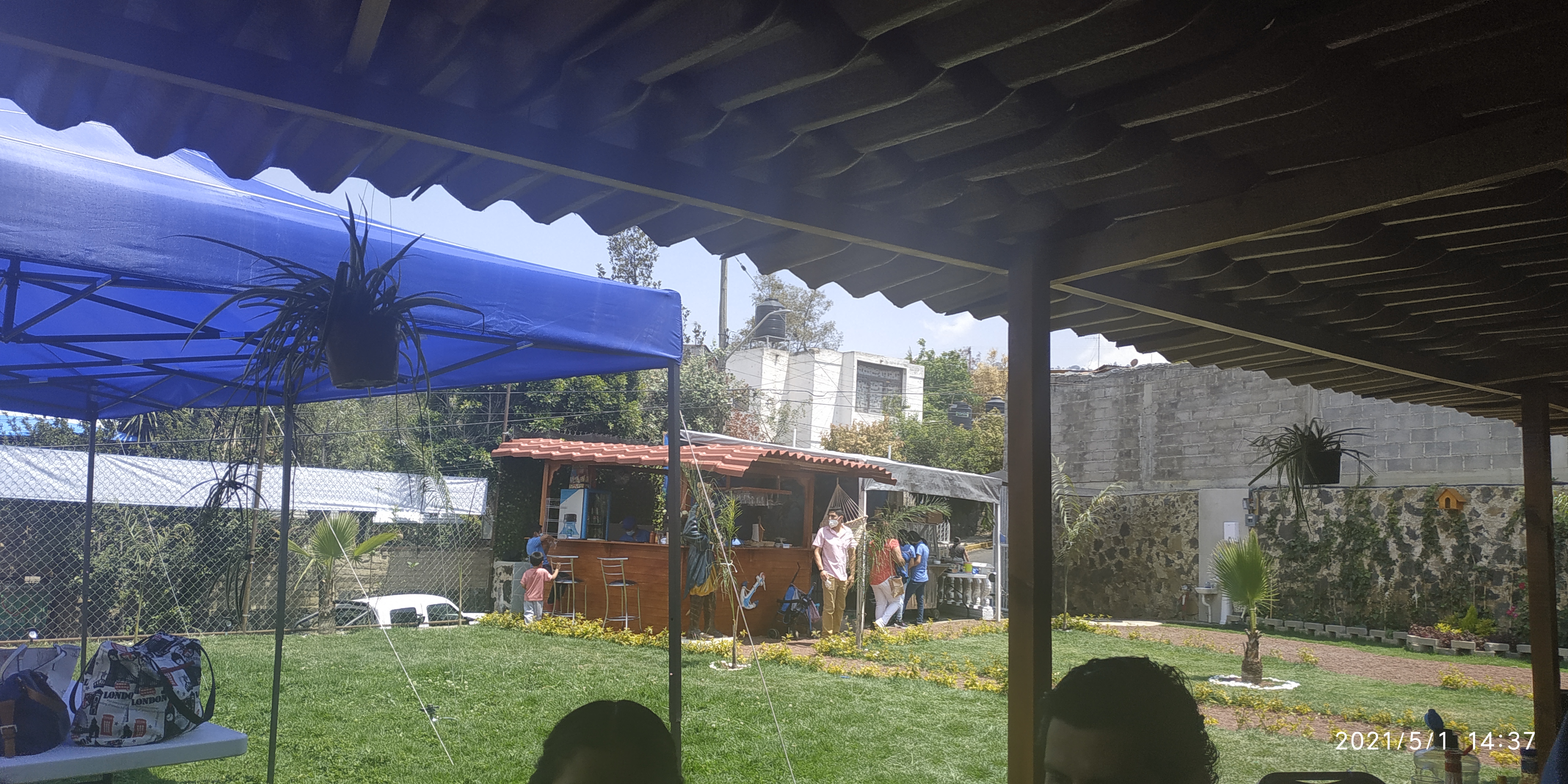 Marisquería Hunter Fish image 9