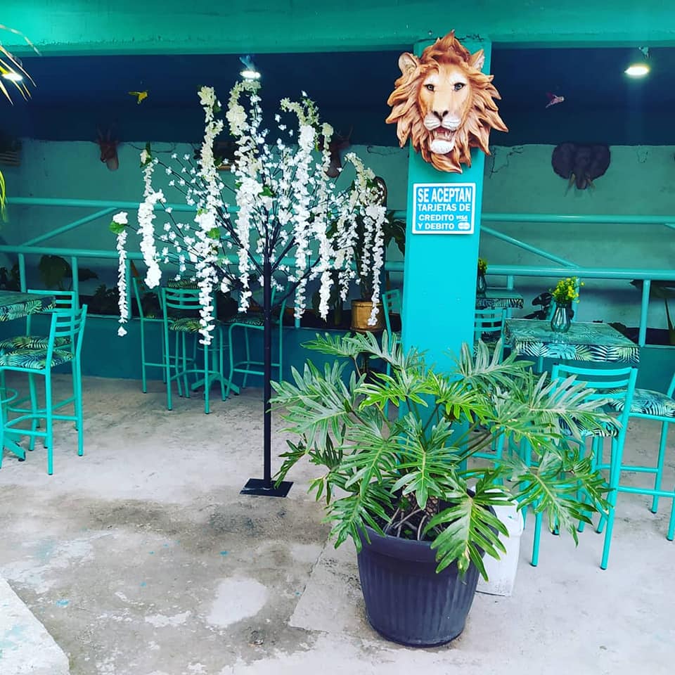 Starloks Coffee & Bistró image 5