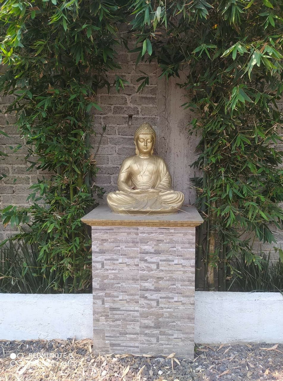 Starloks Coffee & Bistró image 7