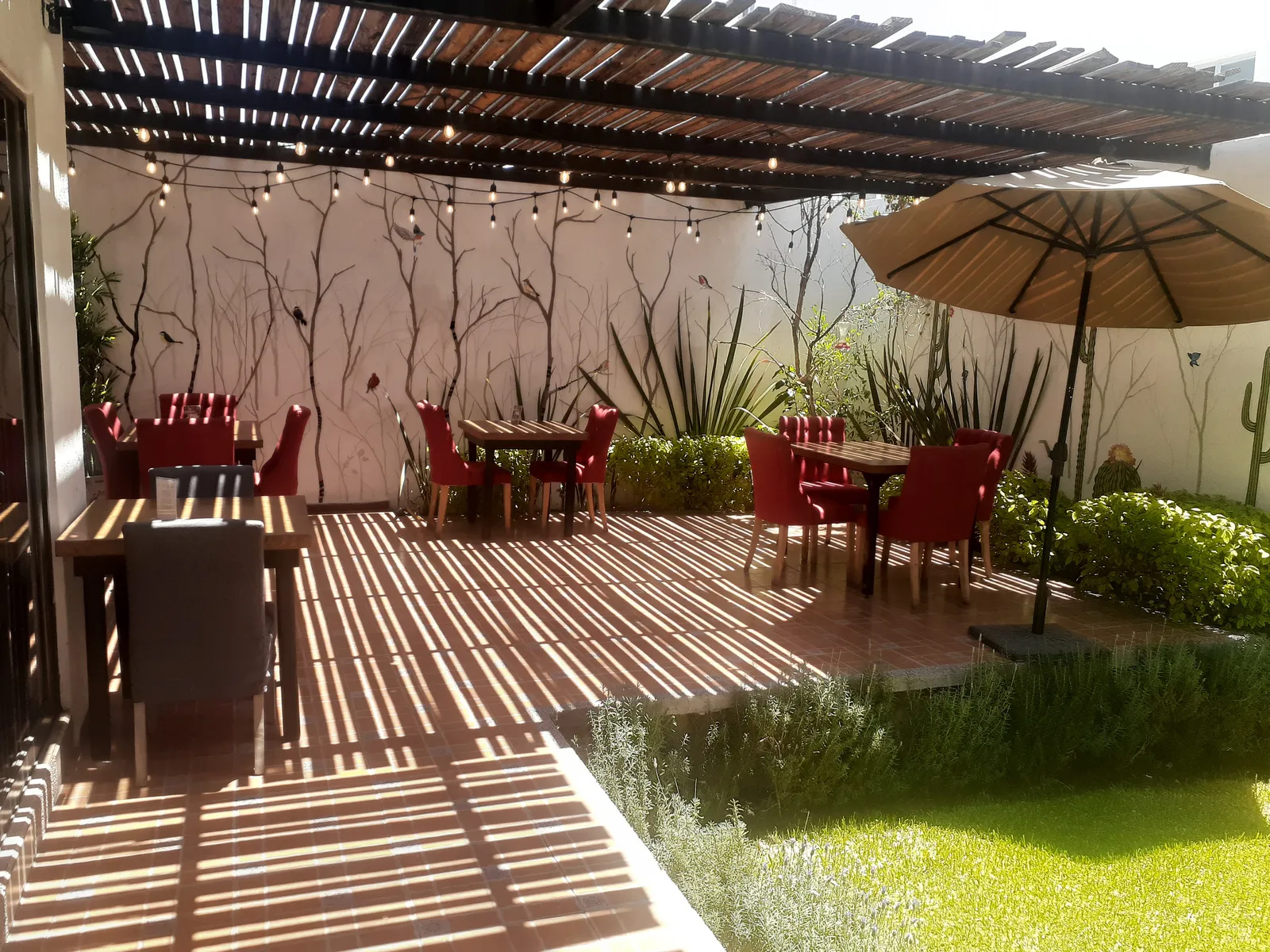 Santa Madre Restaurante & Terraza image 1