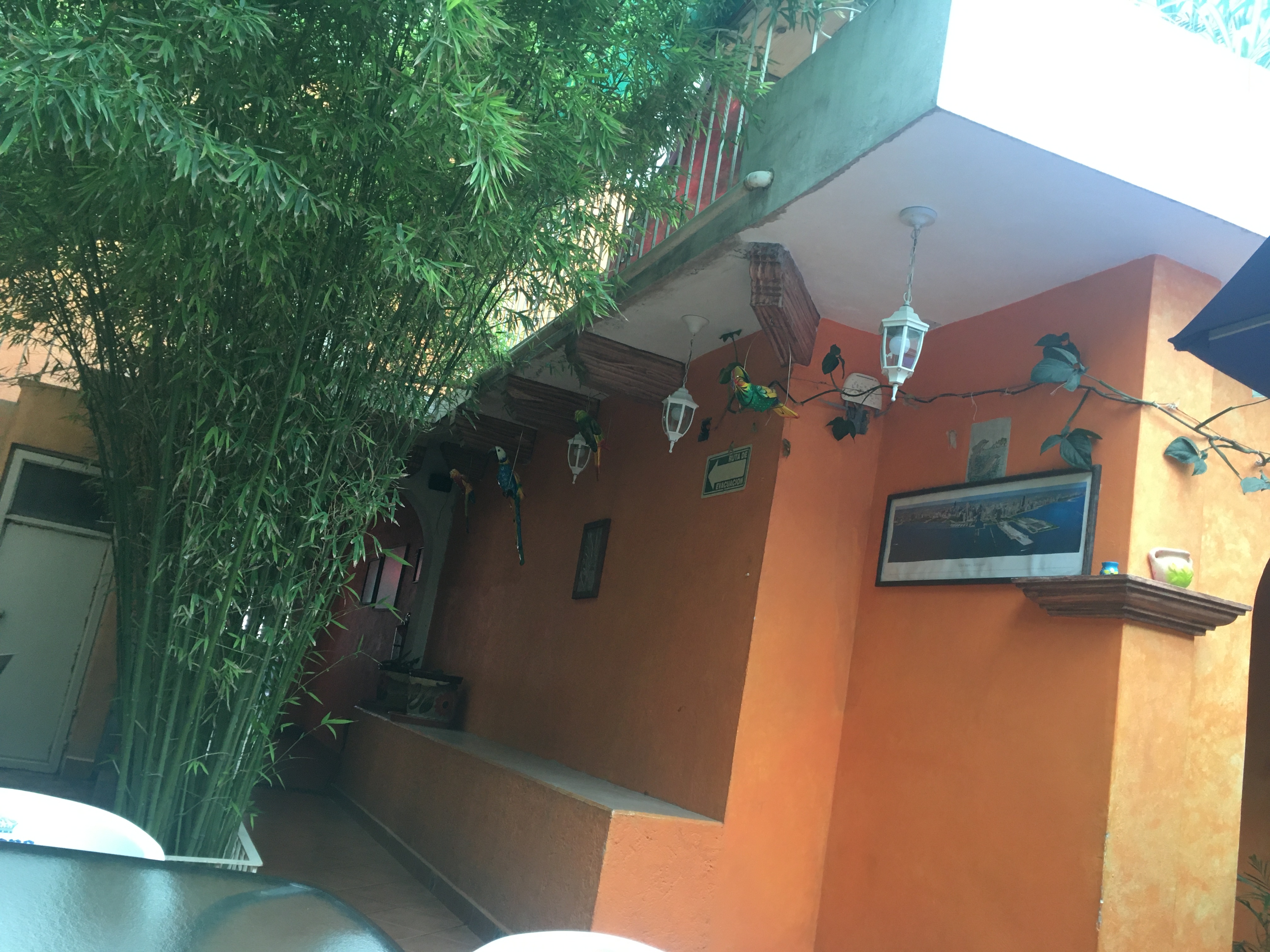 Restaurant Newport image 5