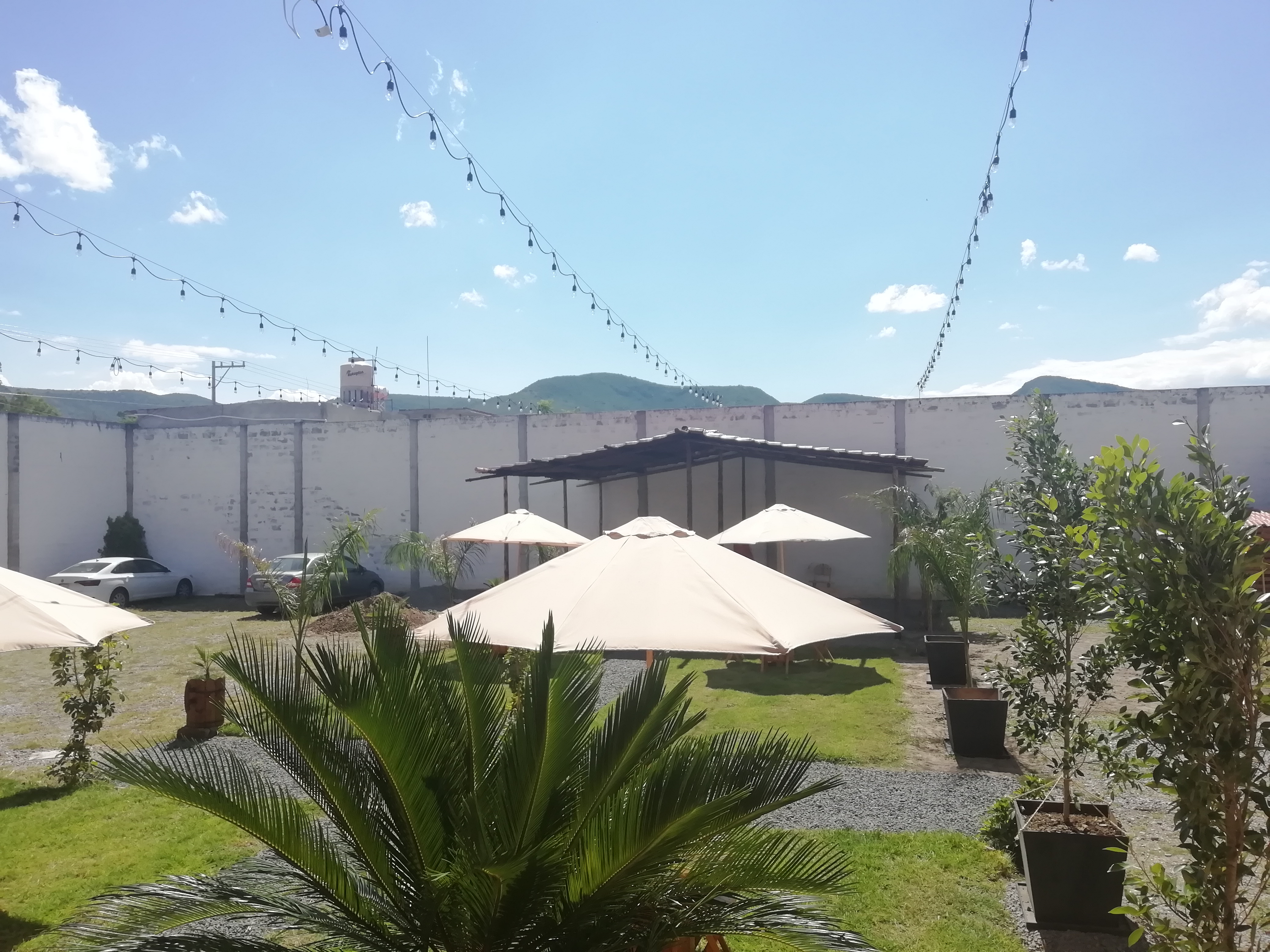 Cantón Grill image 6