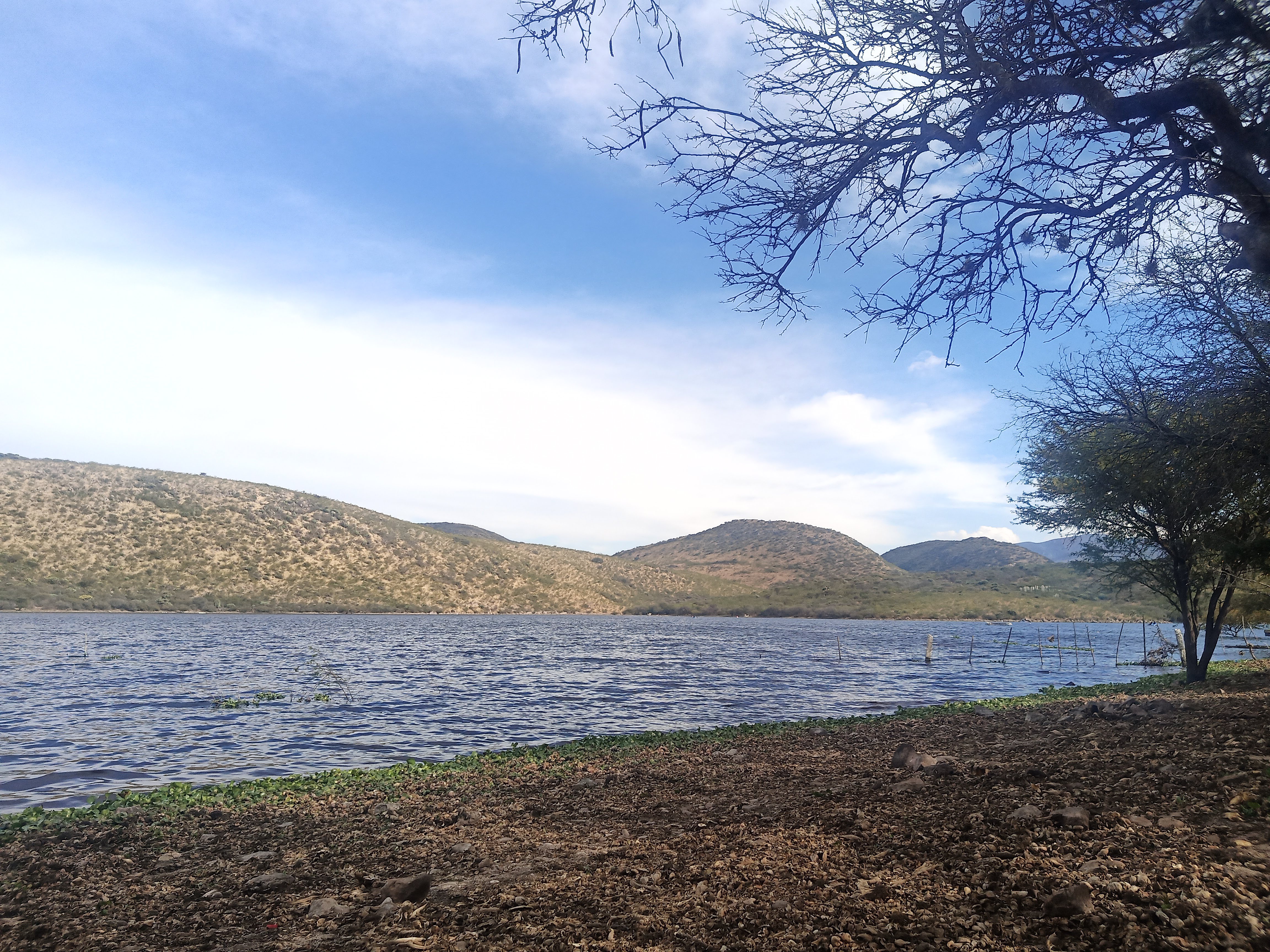 Presa Colón-Restaurante-Turismo image 6