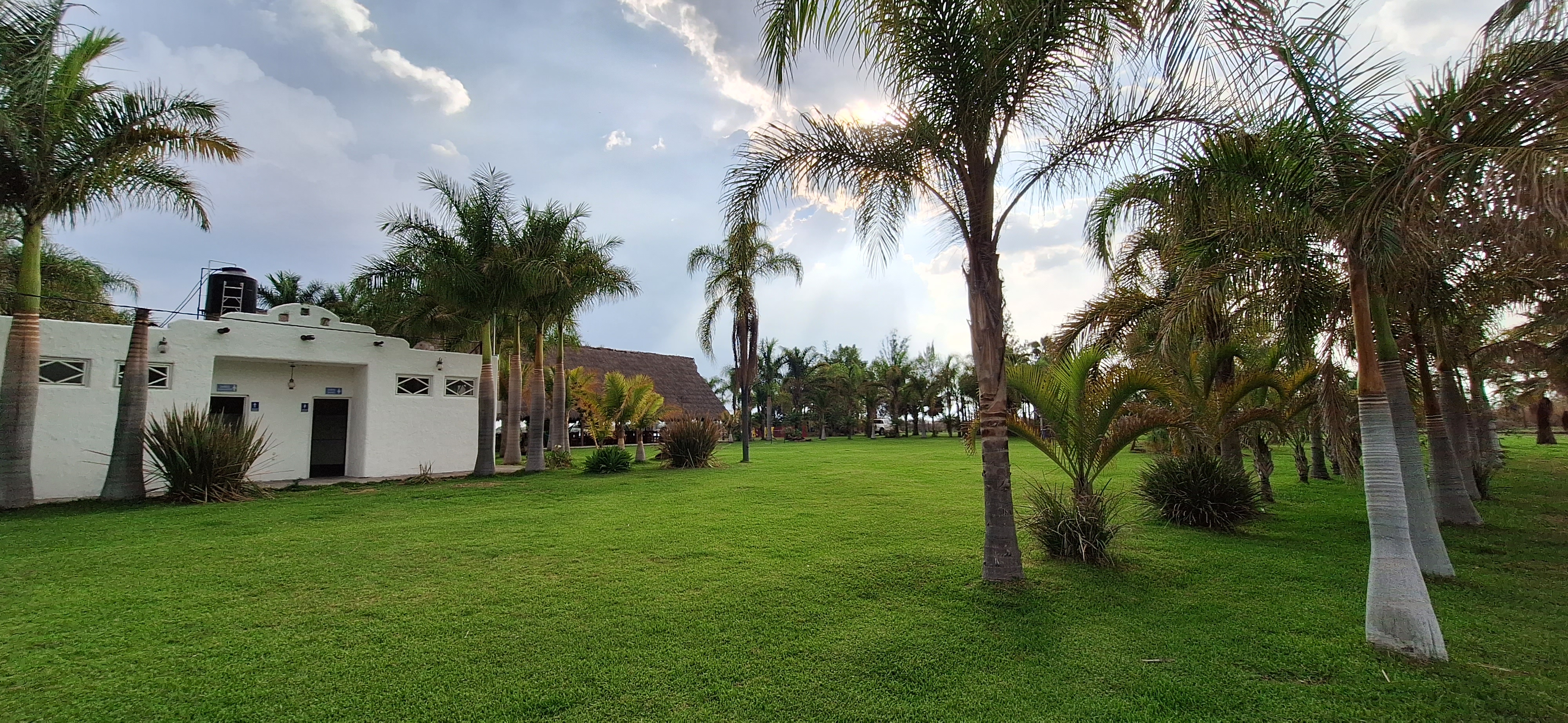 las Gaviotas Restaurant bar. Cuisillos Jal. image 4