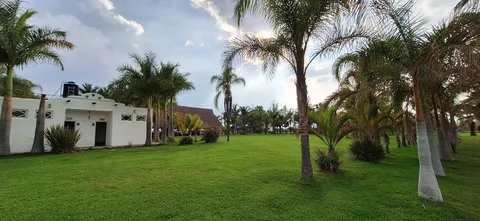 las Gaviotas Restaurant bar. Cuisillos Jal. image 4
