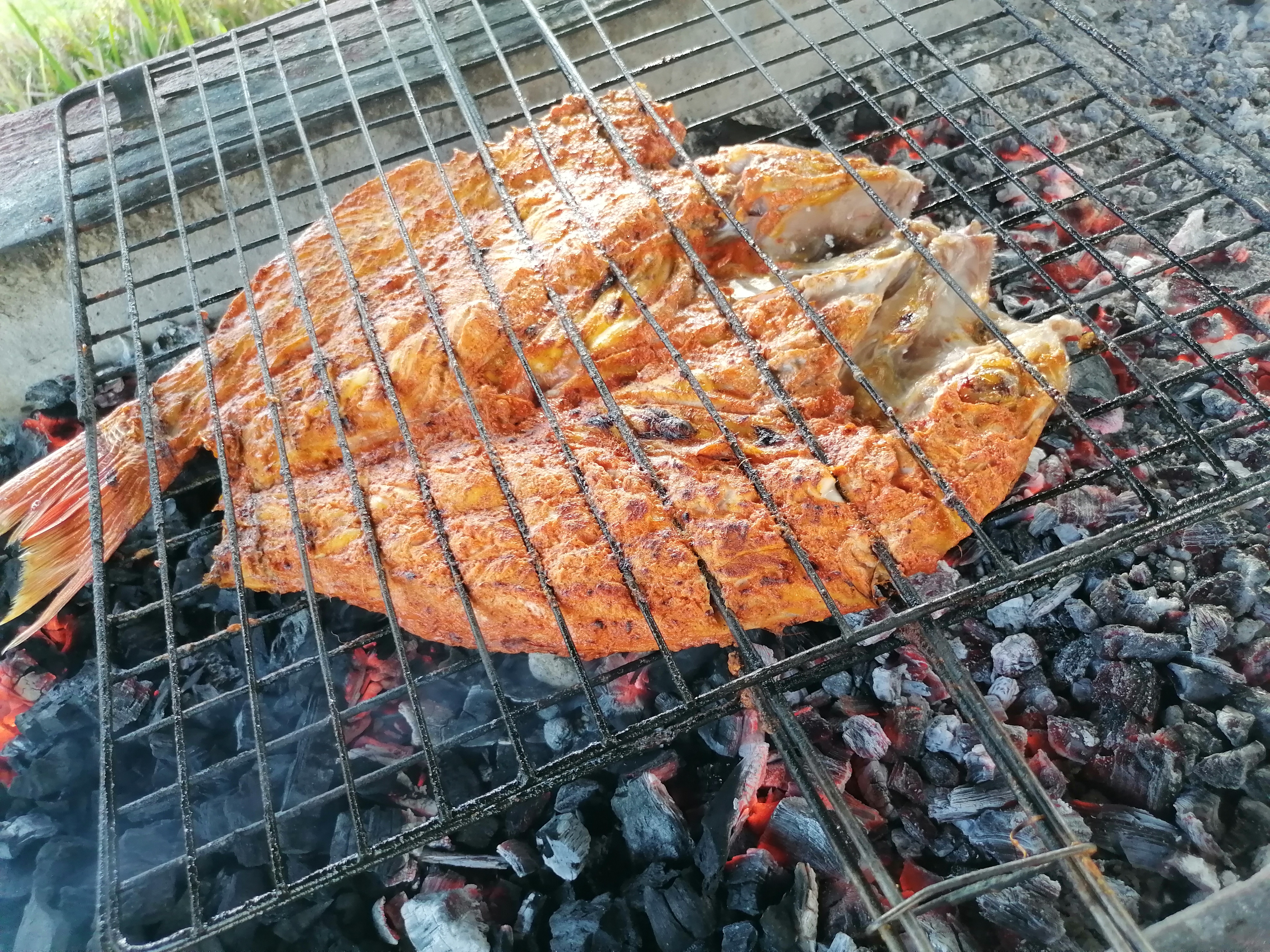 las Gaviotas Restaurant bar. Cuisillos Jal. image 6