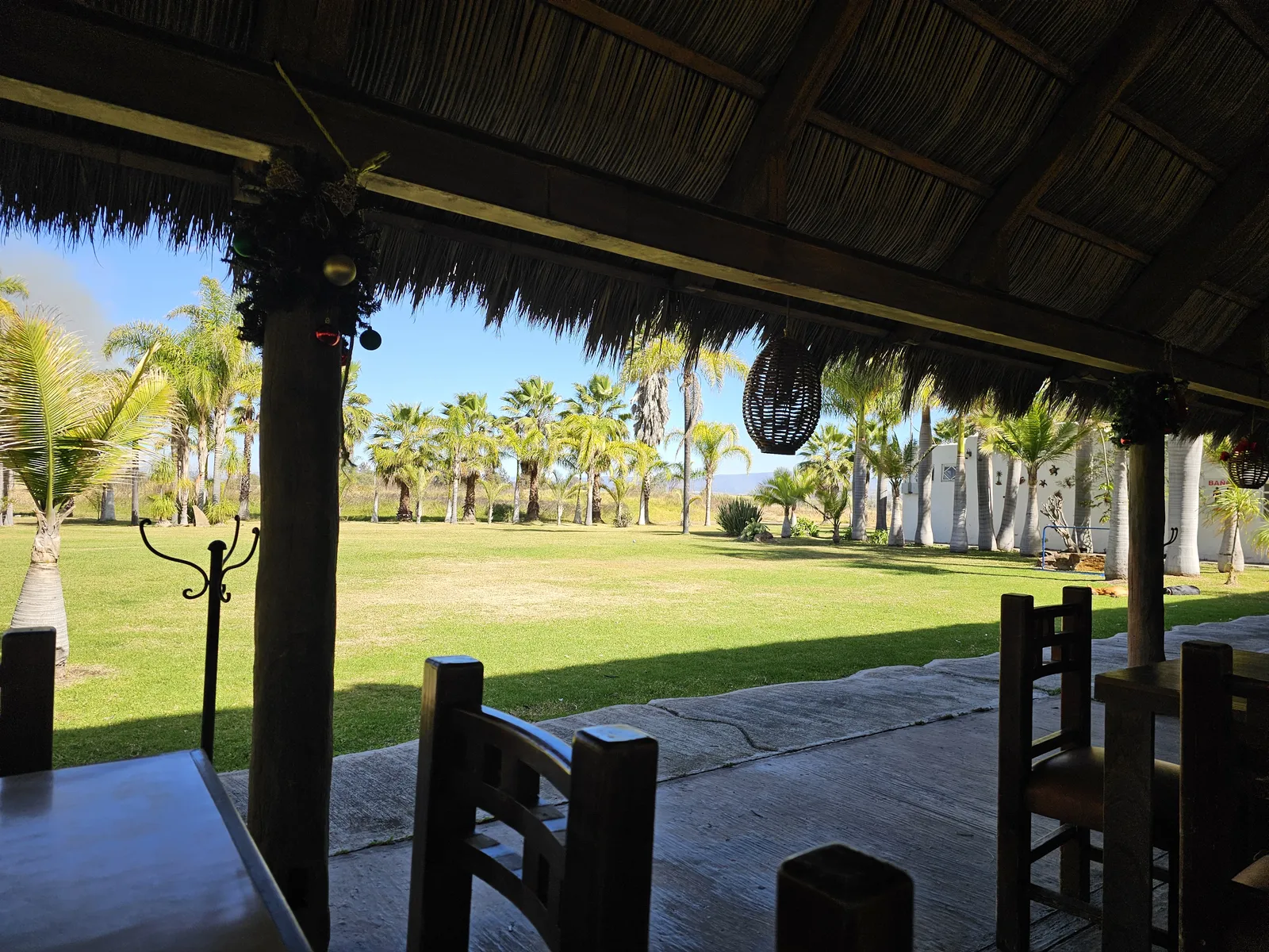 las Gaviotas Restaurant bar. Cuisillos Jal. image 7