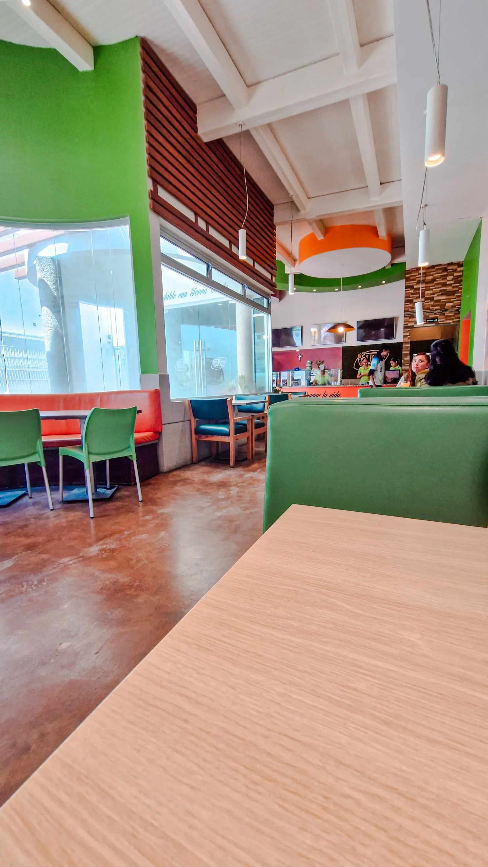 TERRA VERDE image 3
