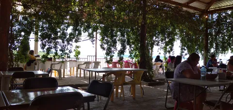 Restaurante el tejado image 1