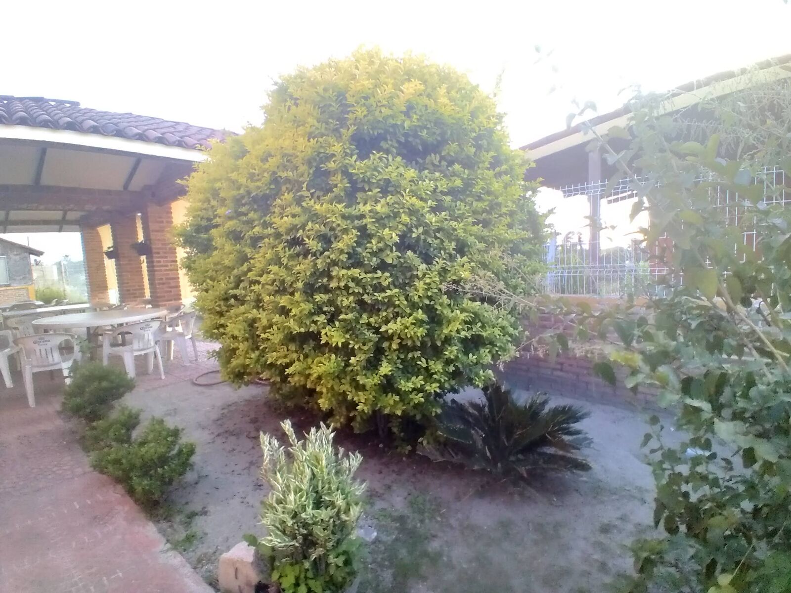 El Caminero image 2