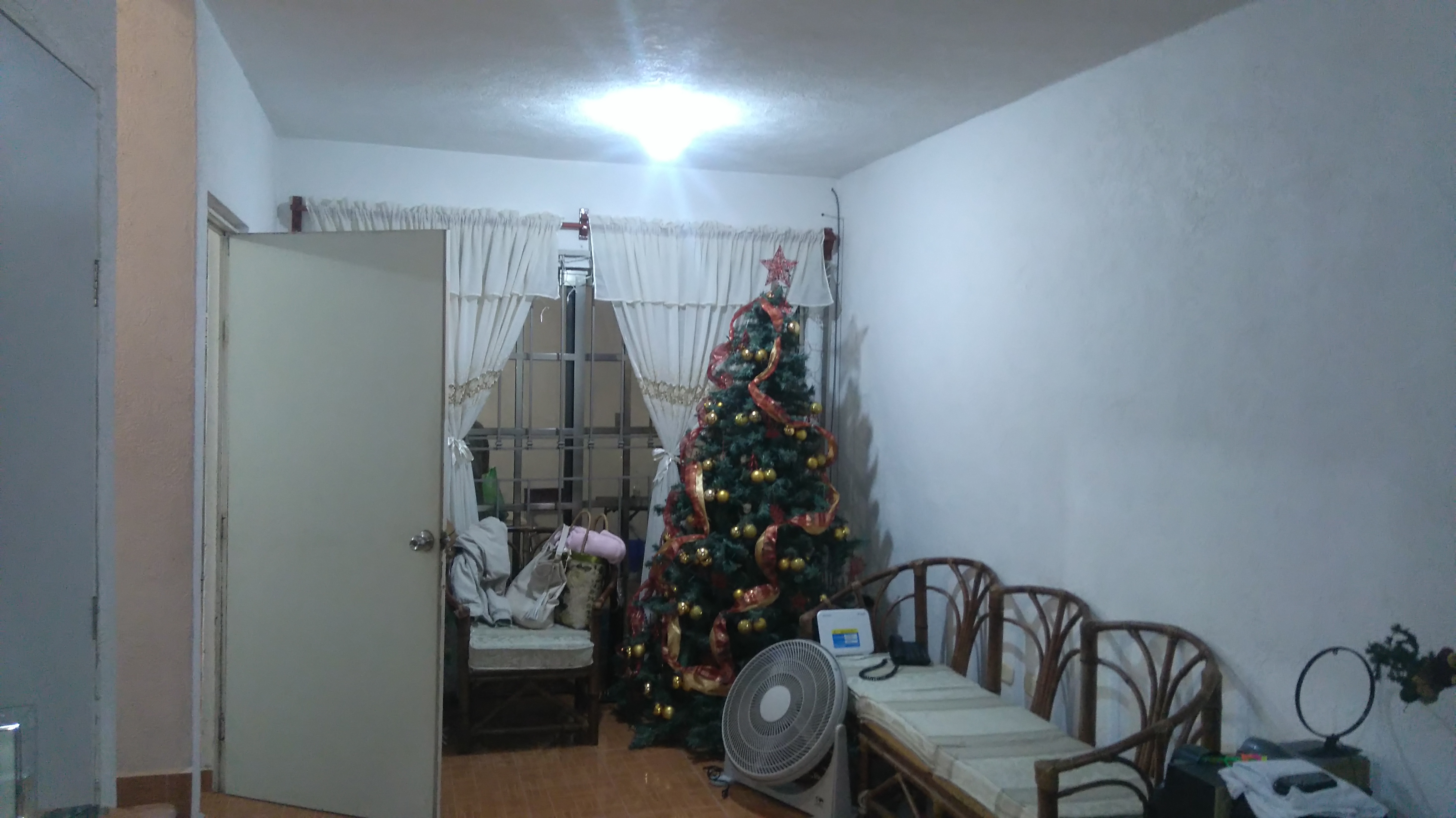 Peter's Tacos image 10