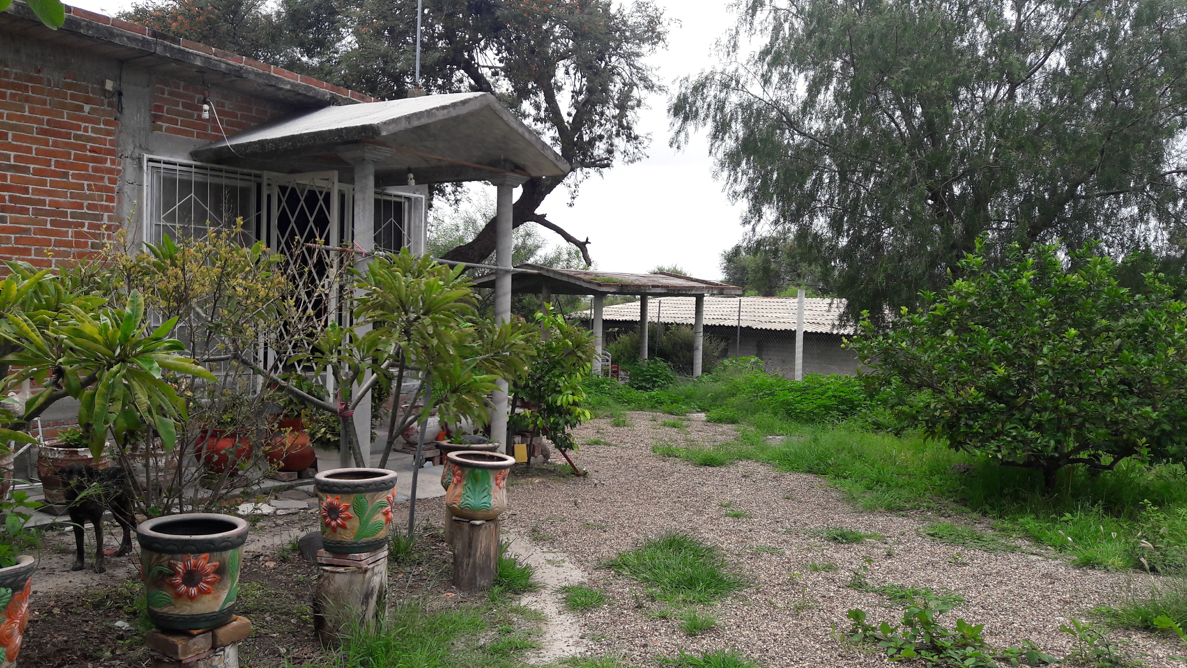 Burritos "Don Muertes" image 3